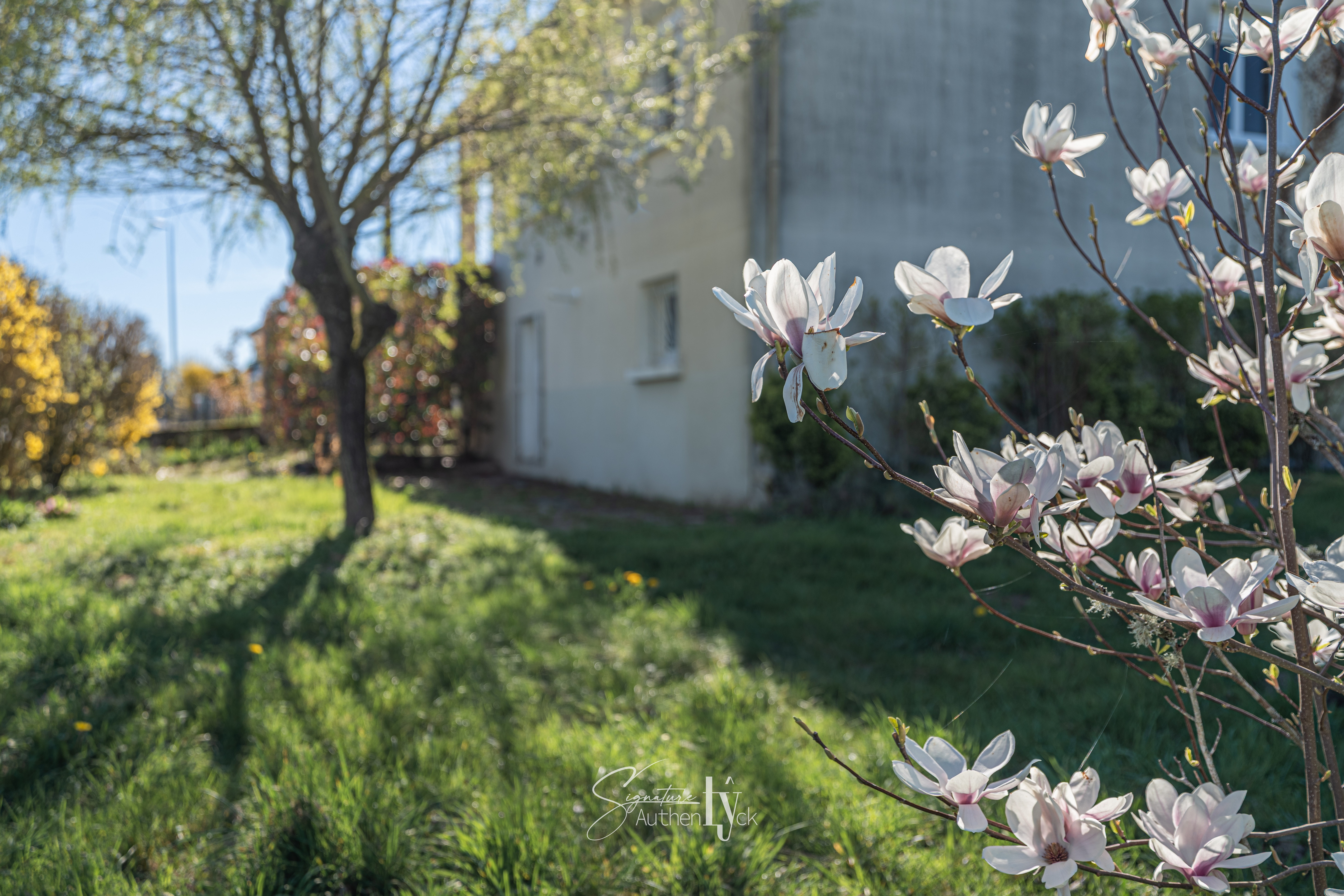 Maison - Saint-Yrieix-la-Perche