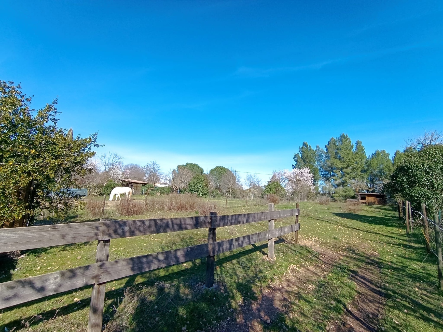 Achat immobilier Maison 15 pièces  342m2 à Vauvert (30600) - Photo n°16