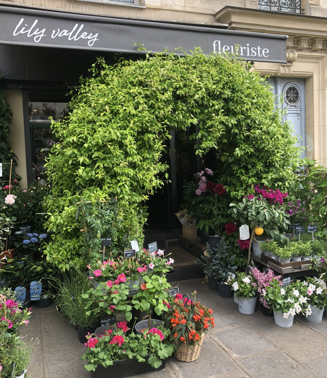 fonds-de-commerce  - 45m2 à Paris (75005)