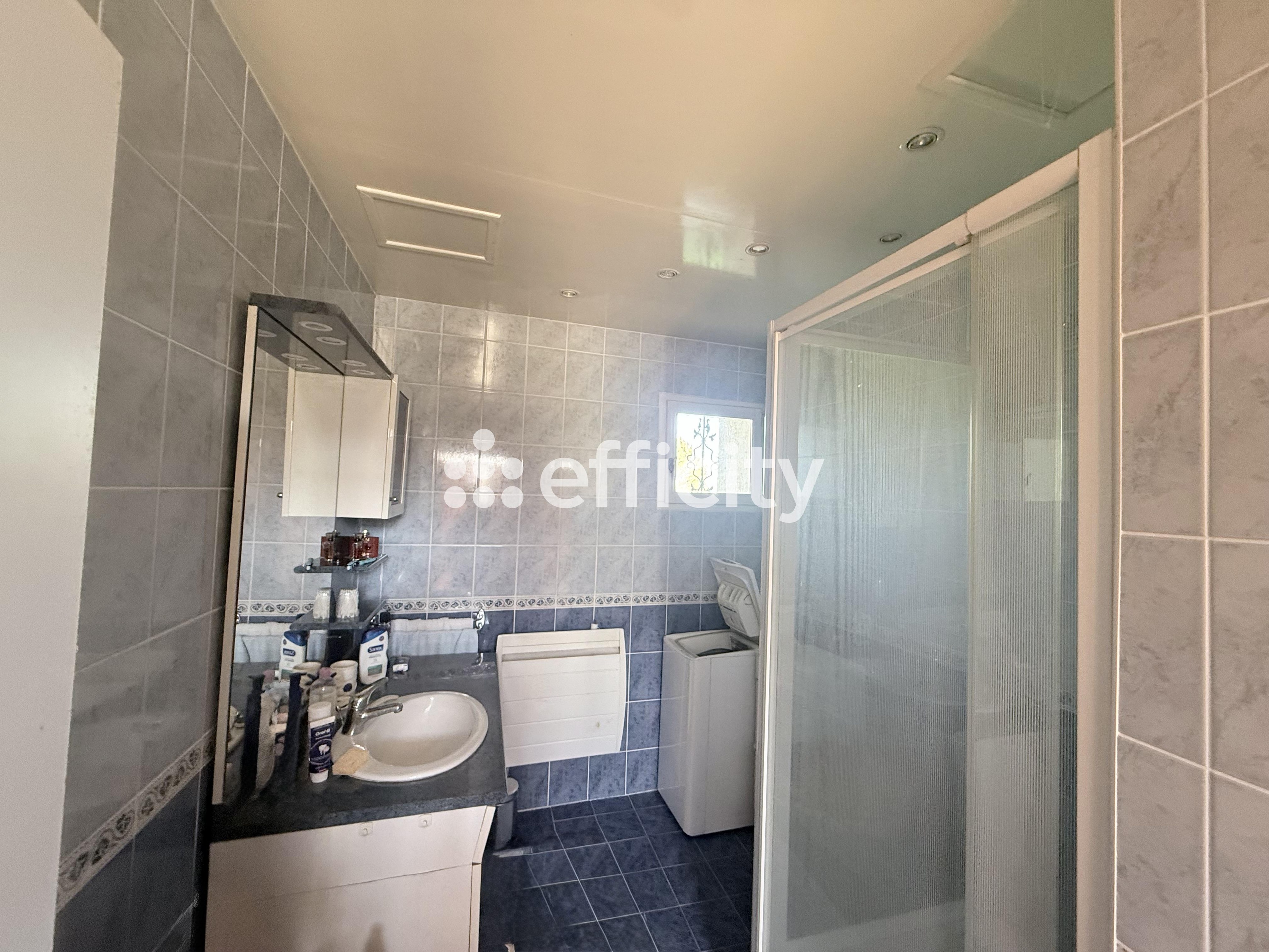 Achat immobilier Maison 6 pièces  198m2 à Ranville-Breuillaud (16140) - Photo n°12