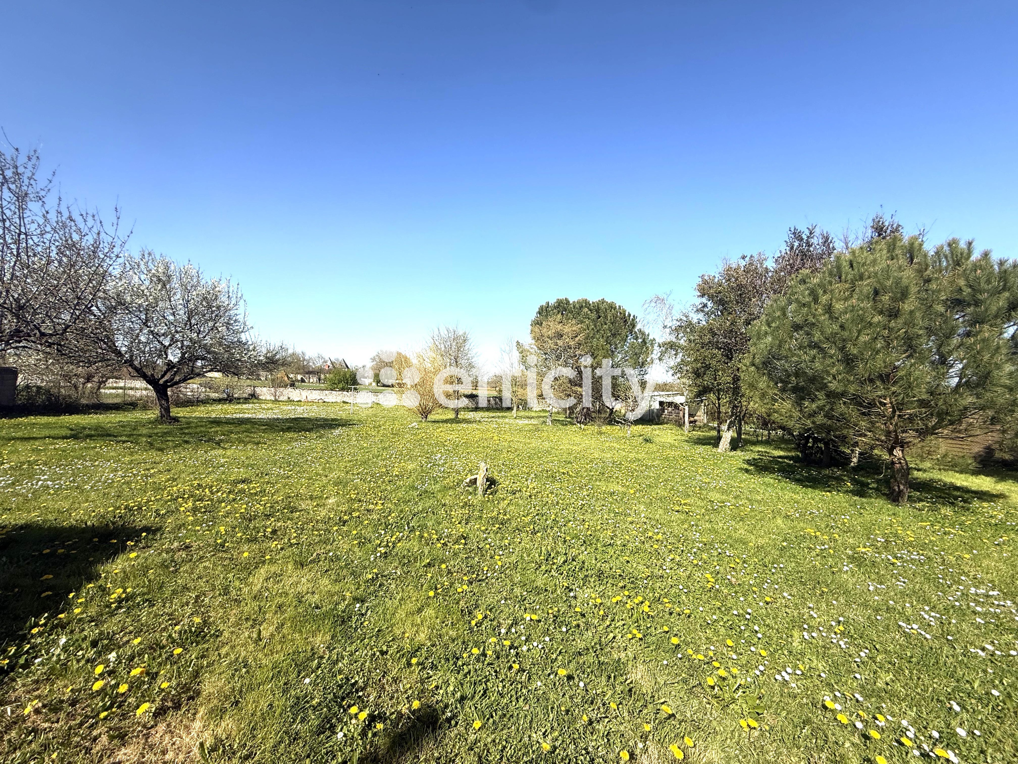 Achat immobilier Maison 6 pièces  198m2 à Ranville-Breuillaud (16140) - Photo n°13