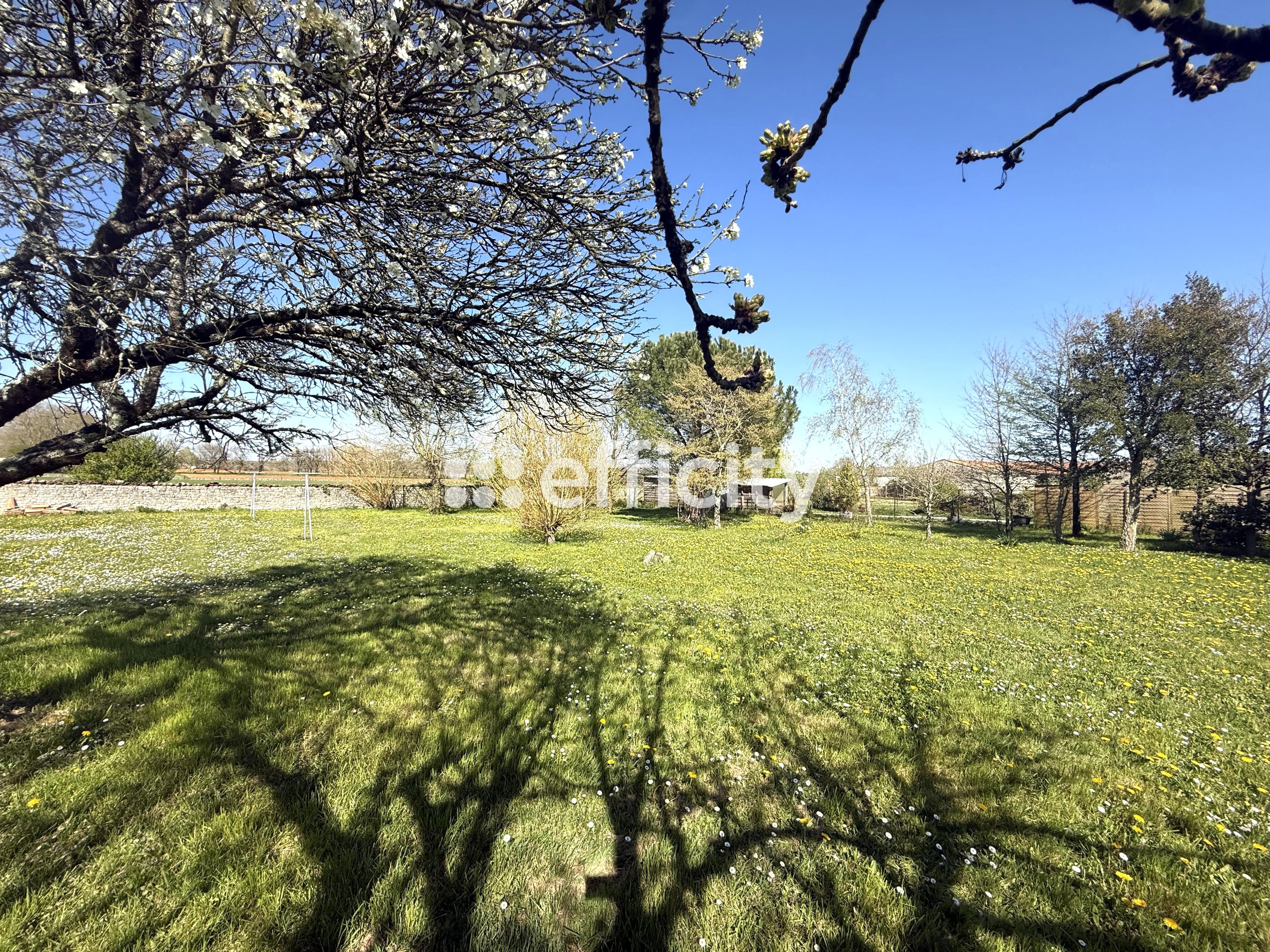 Achat immobilier Maison 6 pièces  198m2 à Ranville-Breuillaud (16140) - Photo n°14