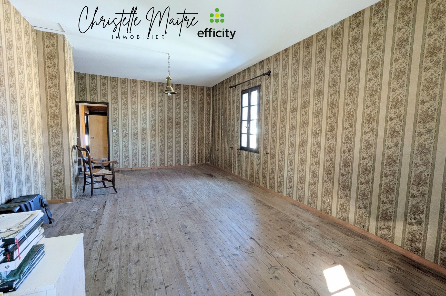 Achat immobilier Maison 7 pièces  161m2 à Saint-Martin-de-Crau (13310) - Photo n°5