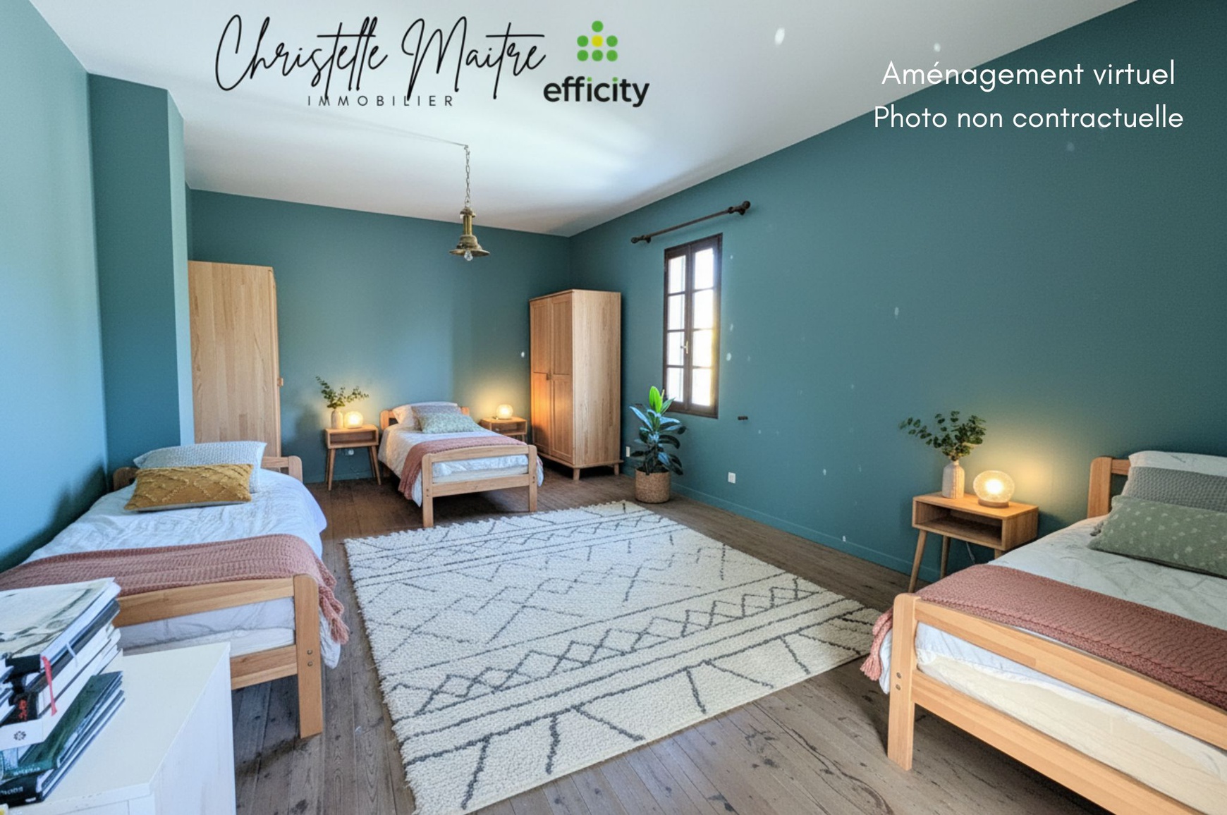 Achat immobilier Maison 7 pièces  161m2 à Saint-Martin-de-Crau (13310) - Photo n°4