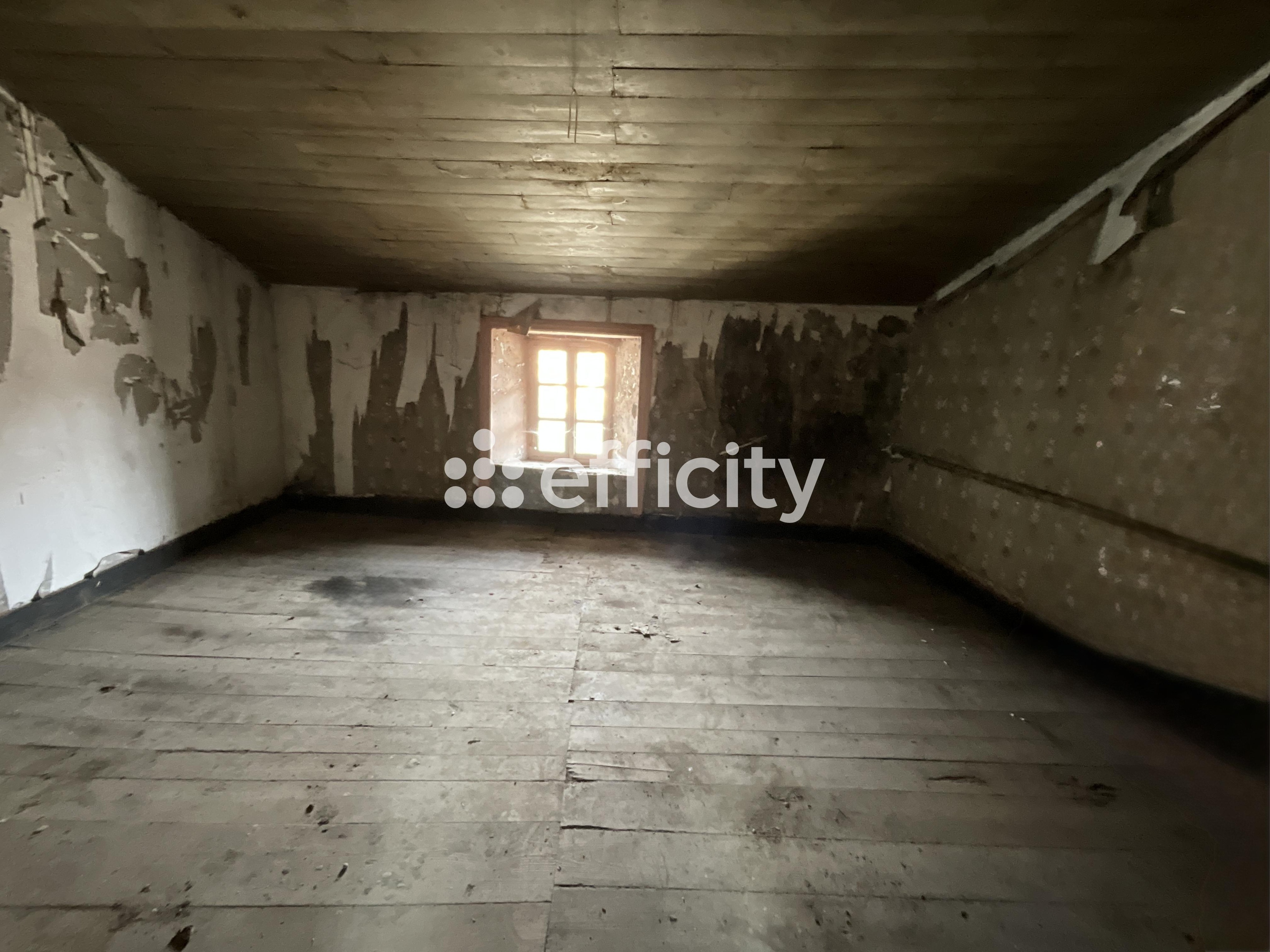 Achat immobilier Immeuble 6 pièces  148m2 à Le Cheylard (07160) - Photo n°7