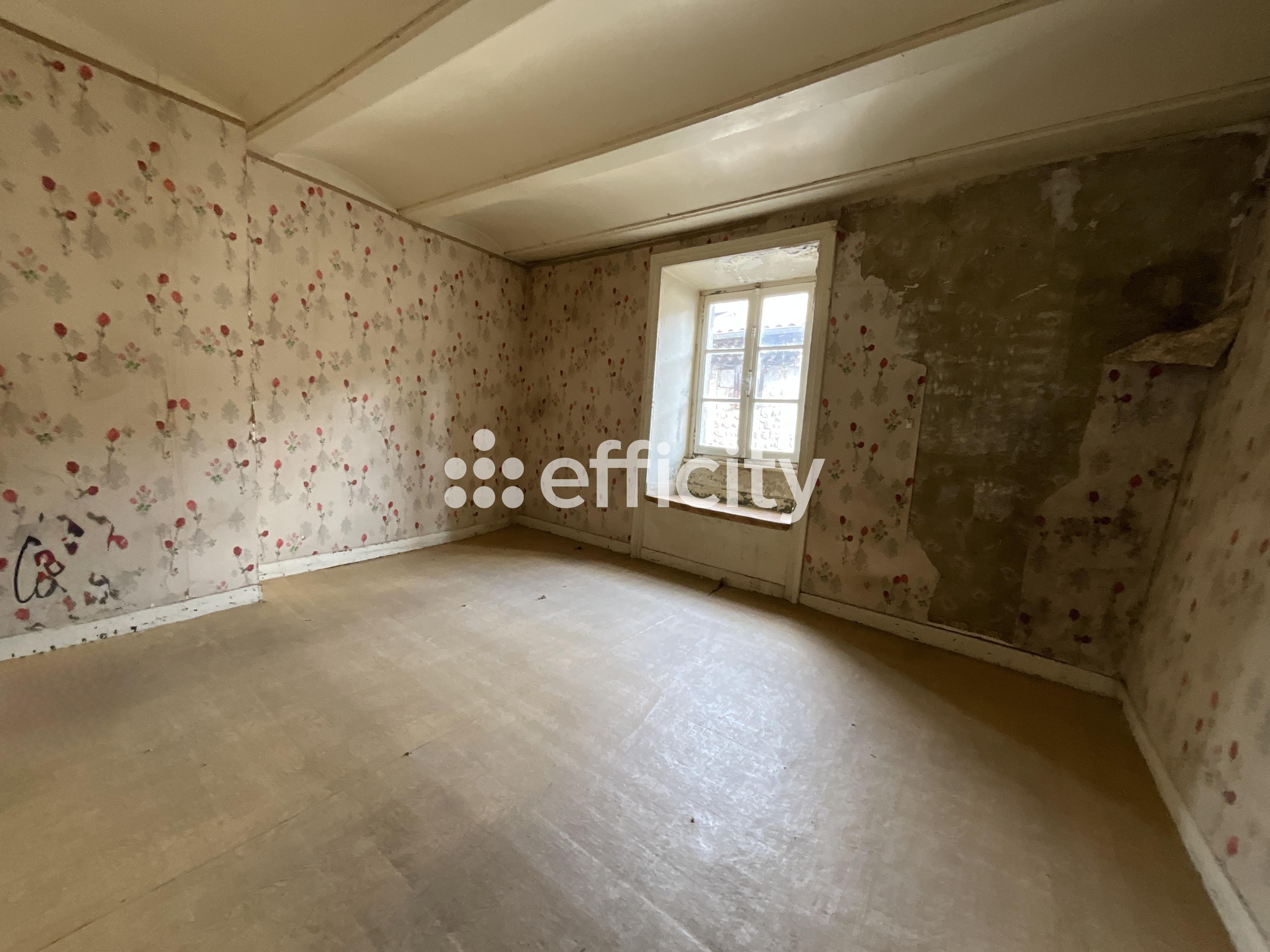 Achat immobilier Immeuble 6 pièces  148m2 à Le Cheylard (07160) - Photo n°5