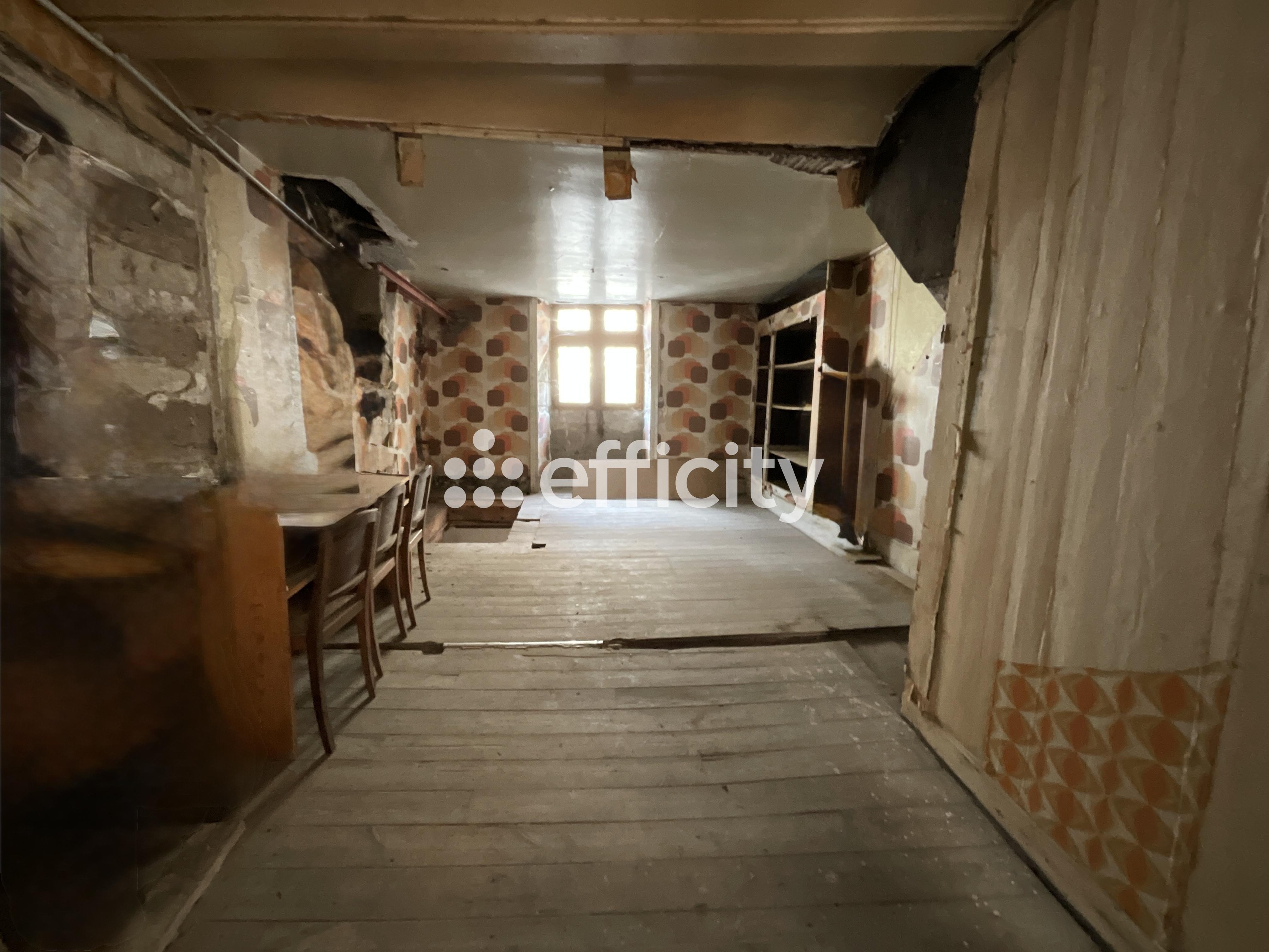 Achat immobilier Immeuble 6 pièces  148m2 à Le Cheylard (07160) - Photo n°6