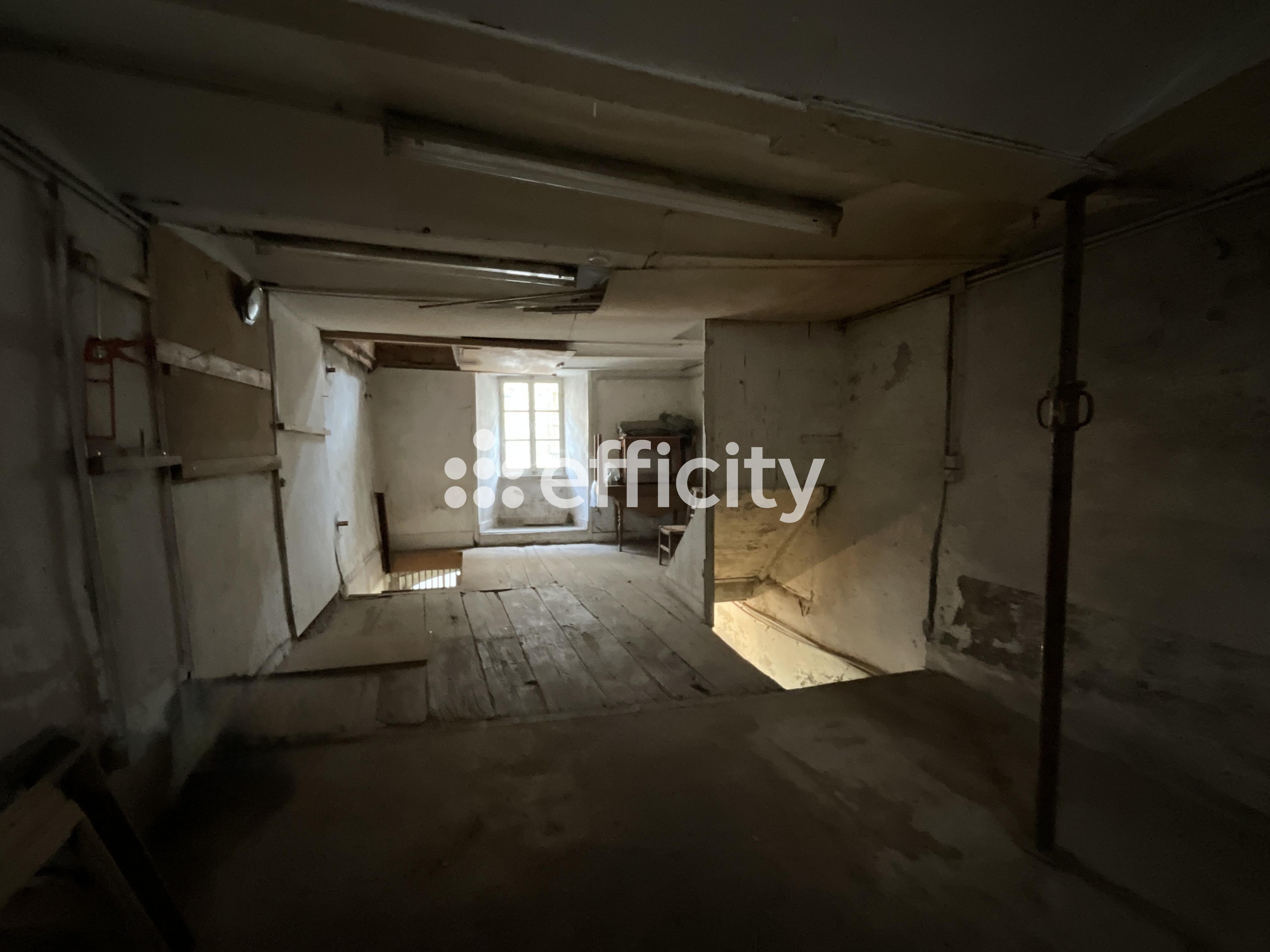 Achat immobilier Immeuble 6 pièces  148m2 à Le Cheylard (07160) - Photo n°11