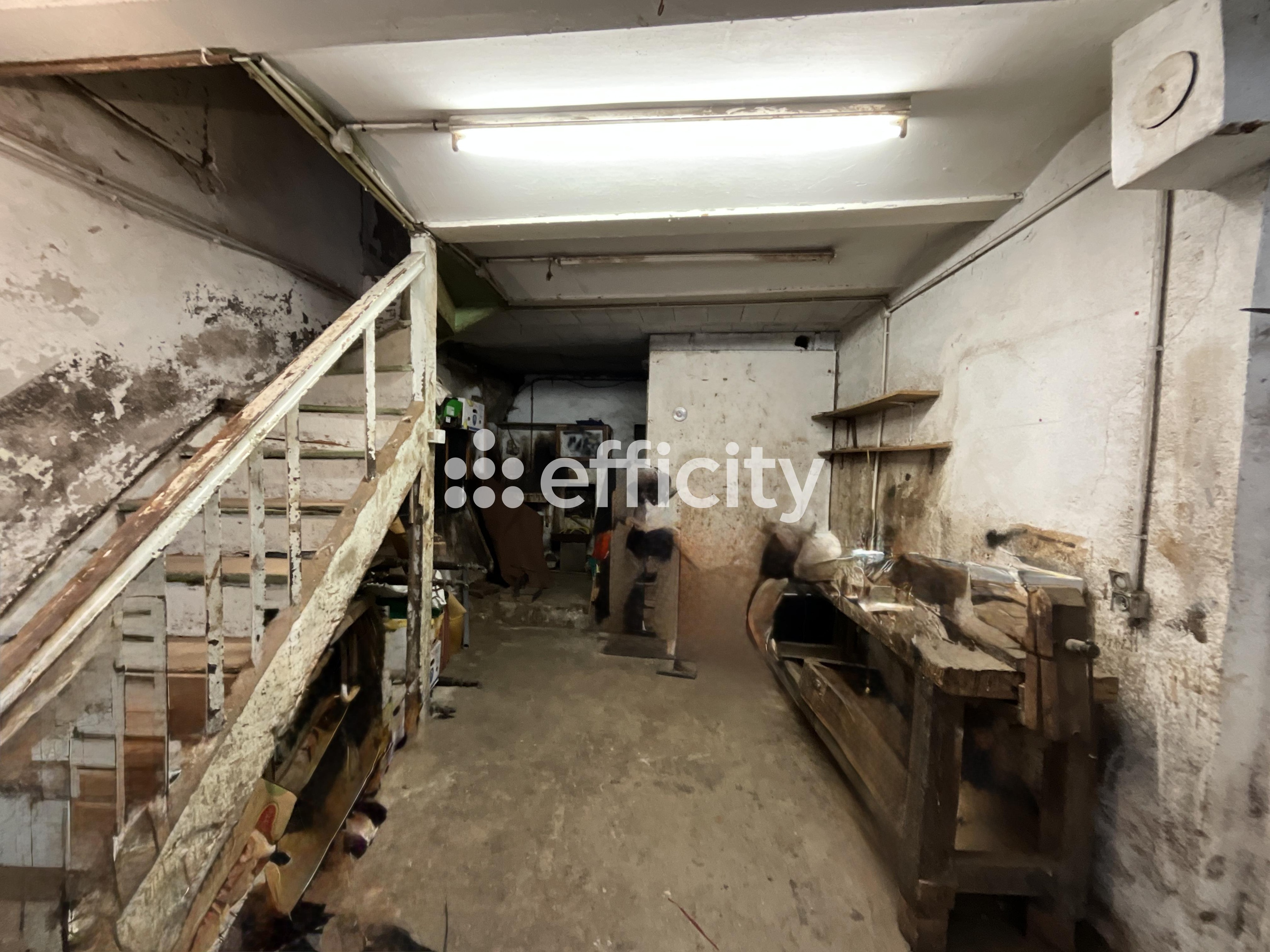 Achat immobilier Immeuble 6 pièces  148m2 à Le Cheylard (07160) - Photo n°12