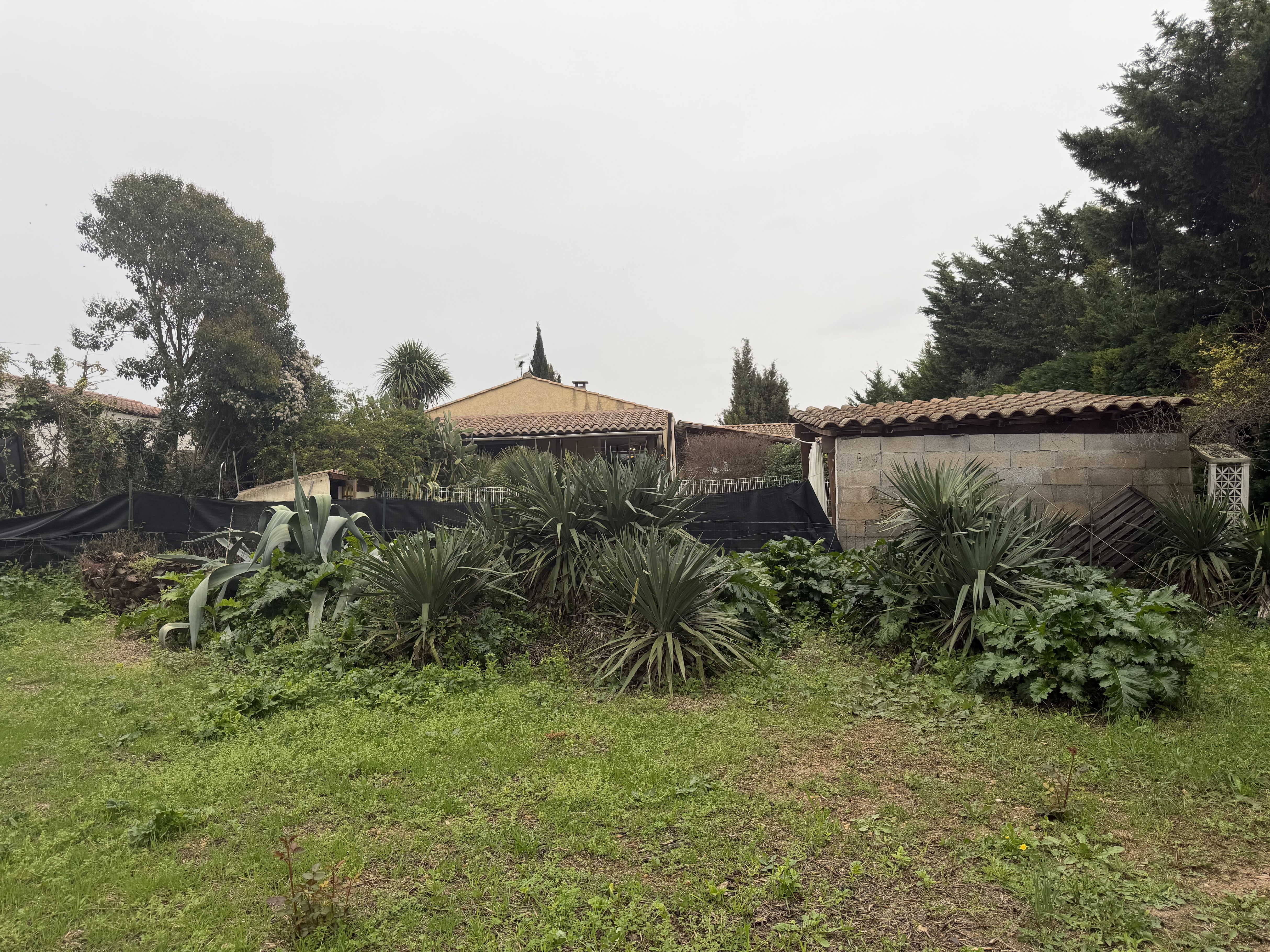 Achat immobilier Maison 6 pièces  199m2 à Aigues-Vives (30670) - Photo n°16