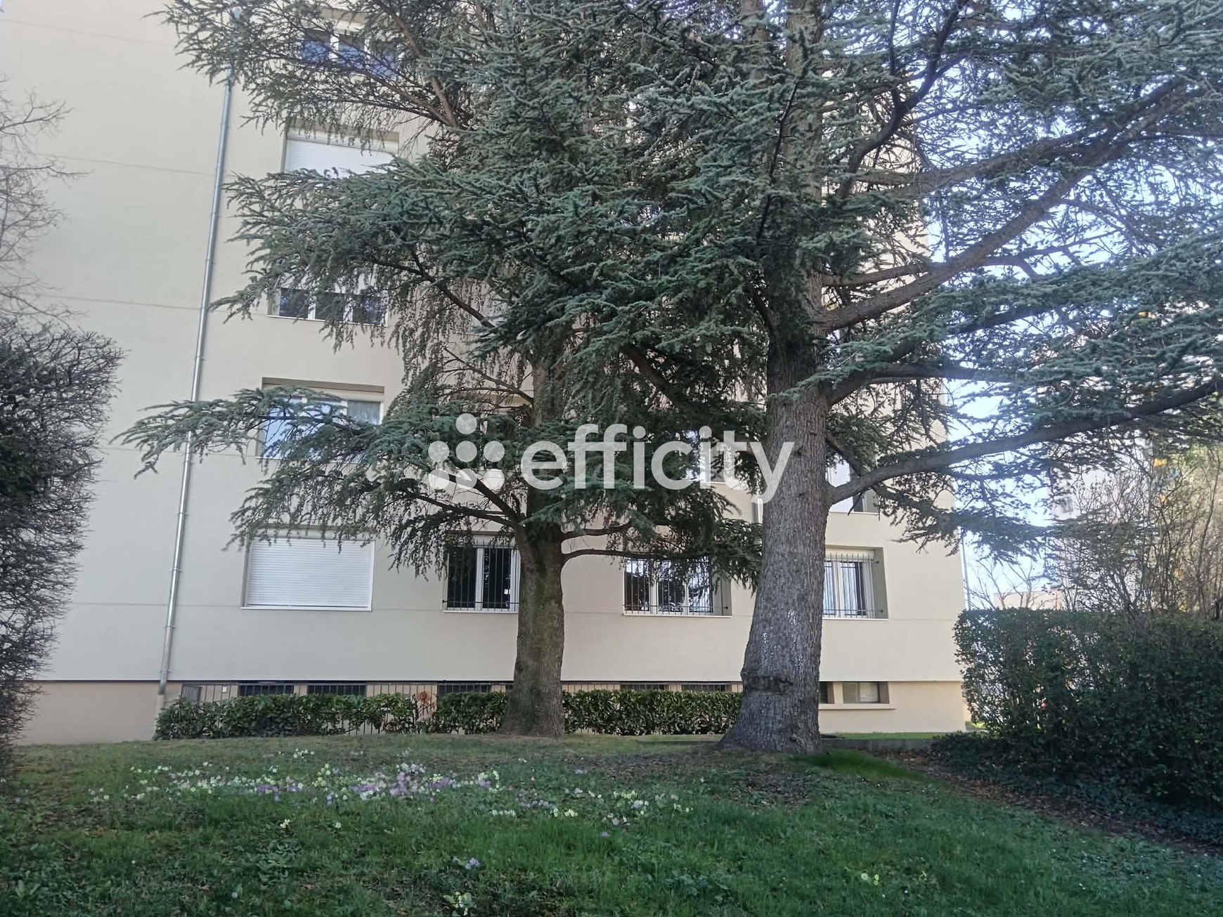 Achat immobilier Appartement 4 pièces  60m2 à Saint-Étienne (42100) - Photo n°4