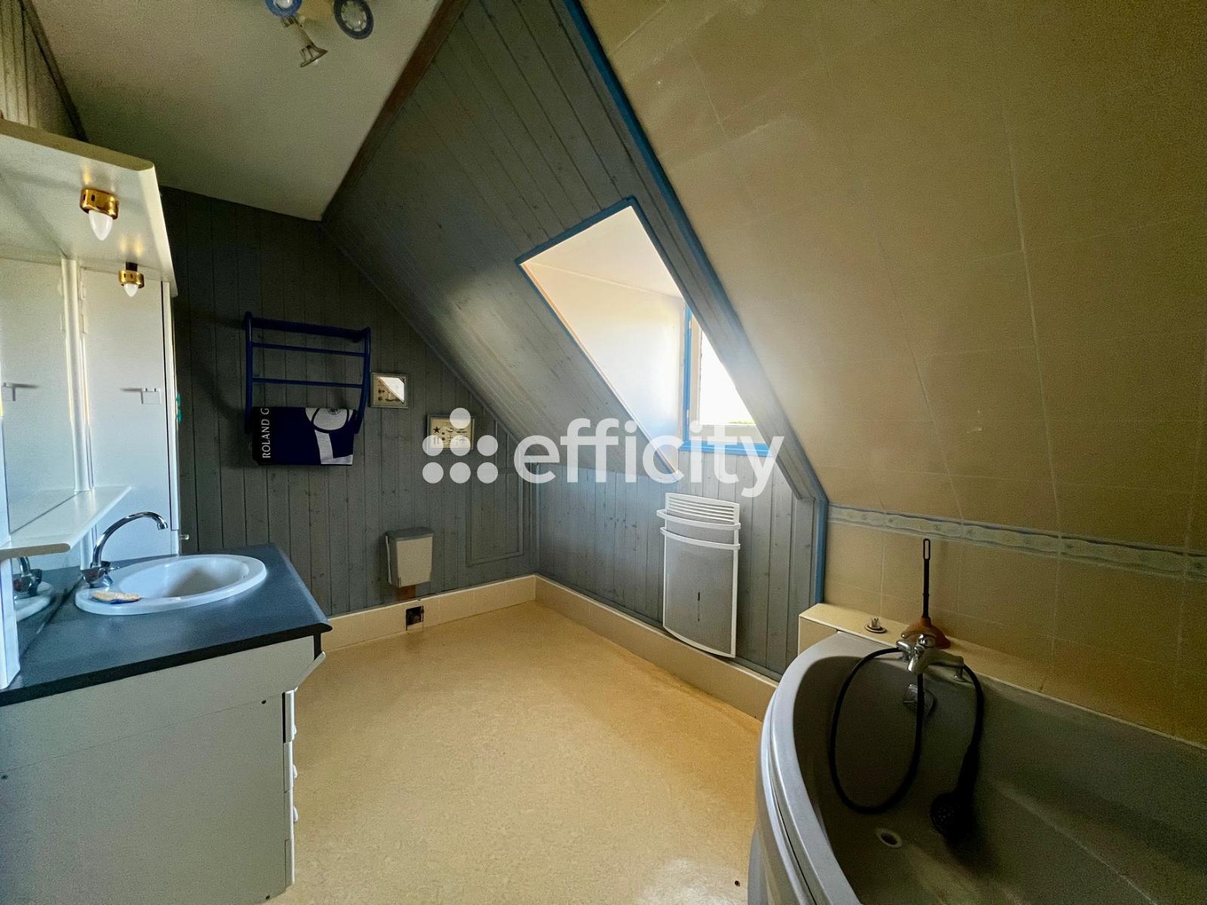 Achat immobilier Maison 7 pièces  186m2 à Bourgueil (37140) - Photo n°6