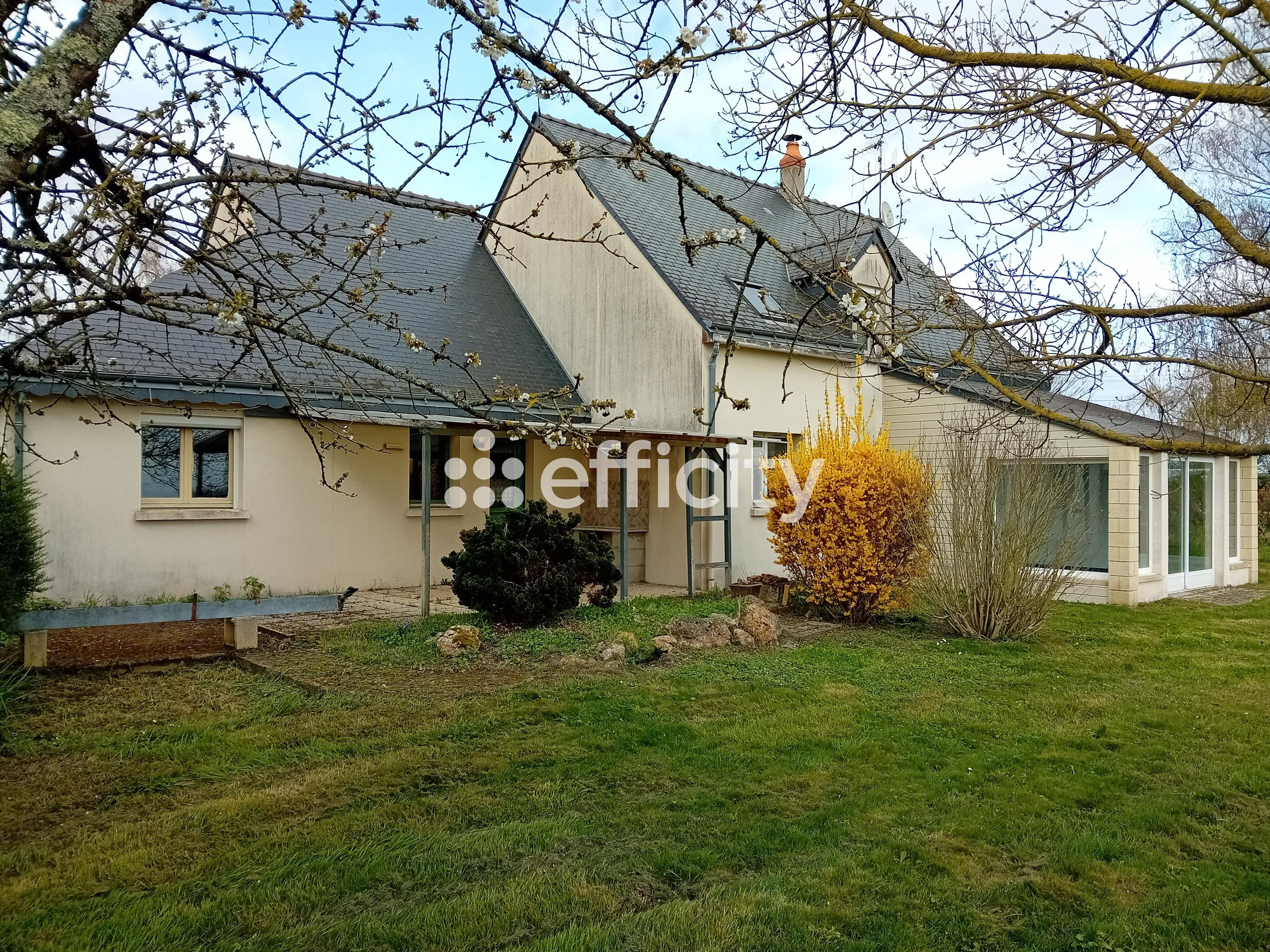 Achat immobilier Maison 7 pièces  186m2 à Bourgueil (37140) - Photo n°1