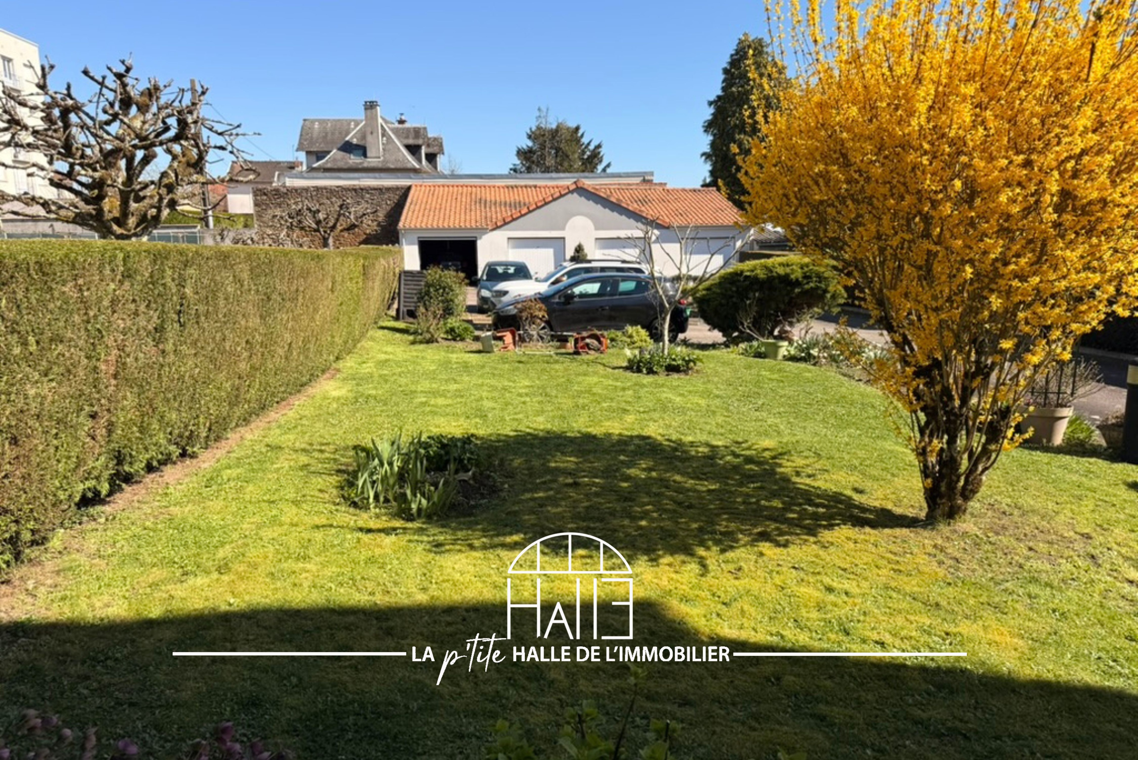 Appartement - Limoges