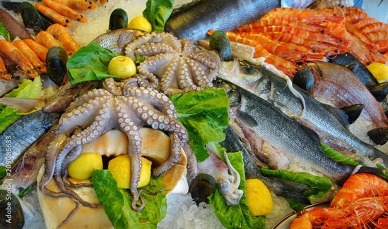 fonds de commerce  - 21m2 à Montpellier (34000)