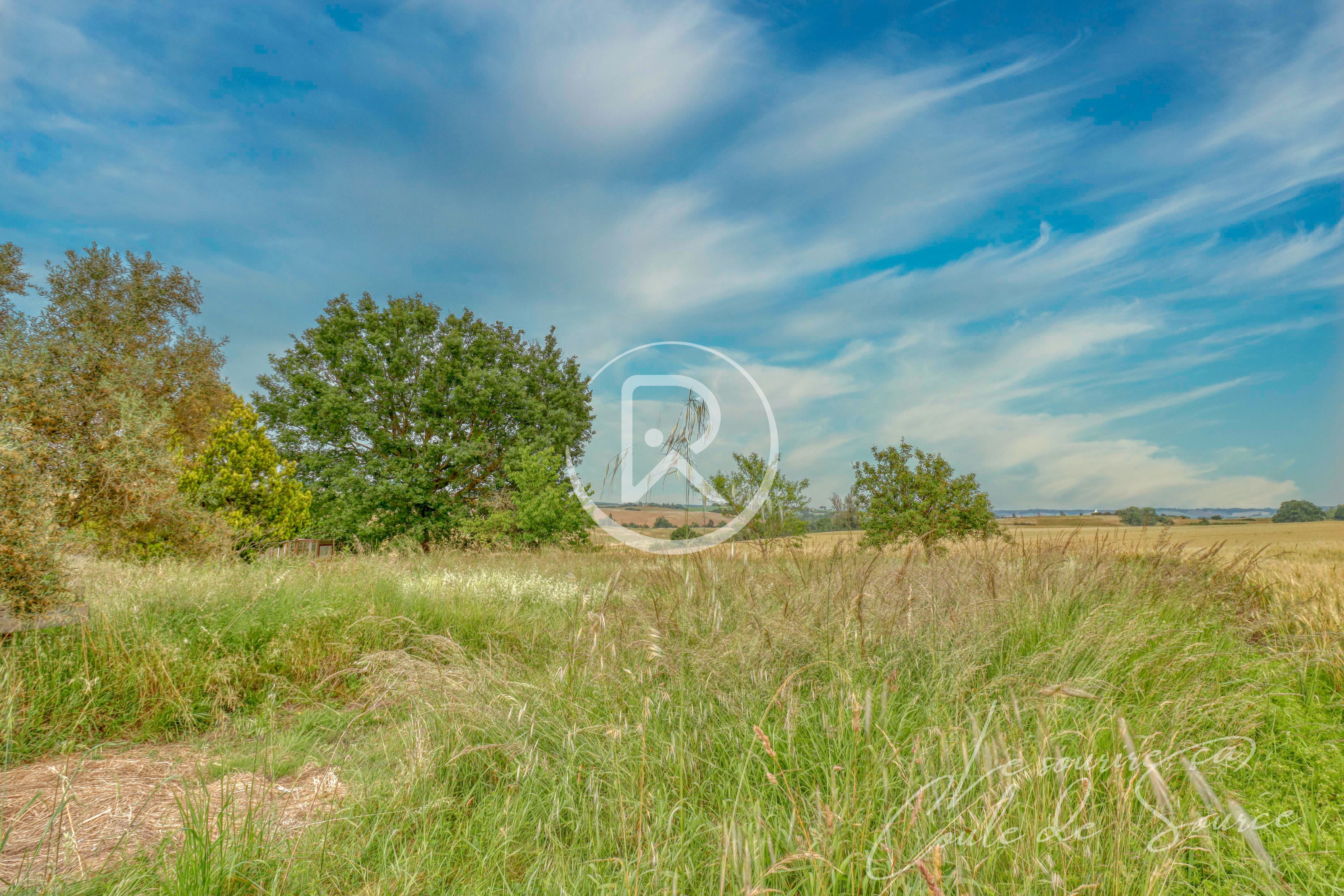 Photo illustration