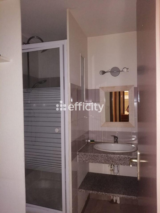 Achat immobilier Maison 14 pièces  295m2 à Essouvert (17400) - Photo n°9