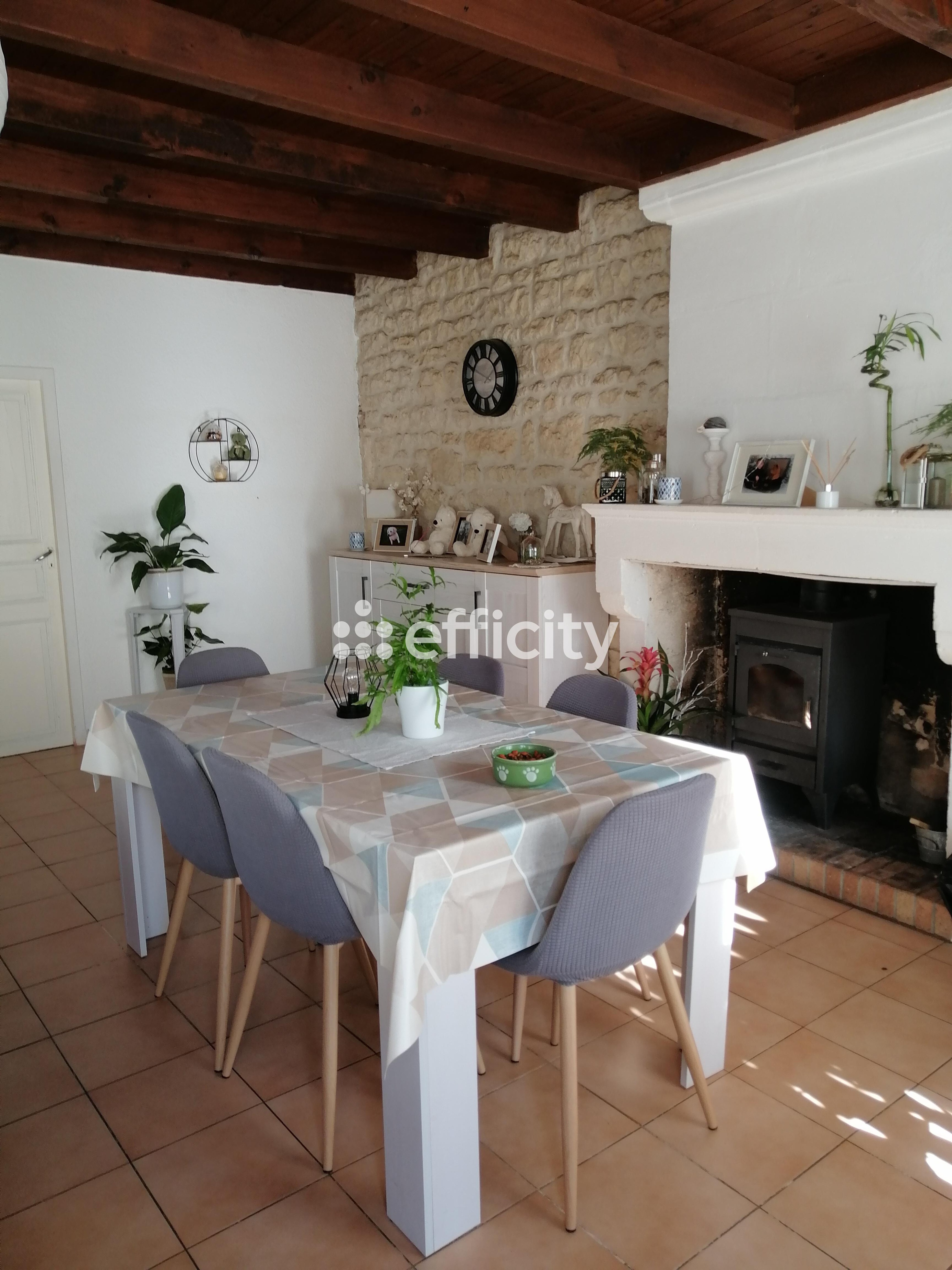 Achat immobilier Maison 14 pièces  295m2 à Essouvert (17400) - Photo n°4