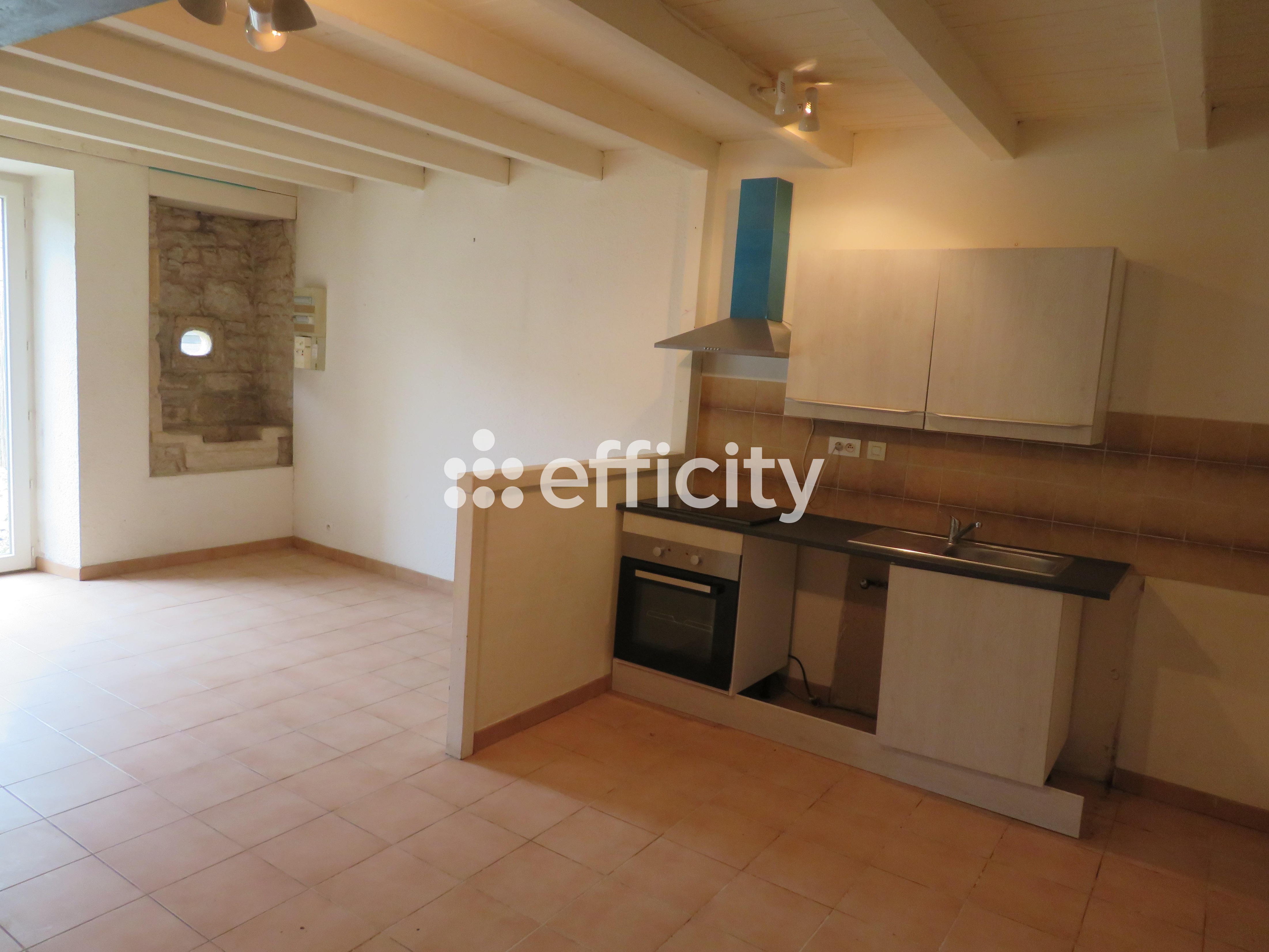 Achat immobilier Maison 14 pièces  295m2 à Essouvert (17400) - Photo n°5