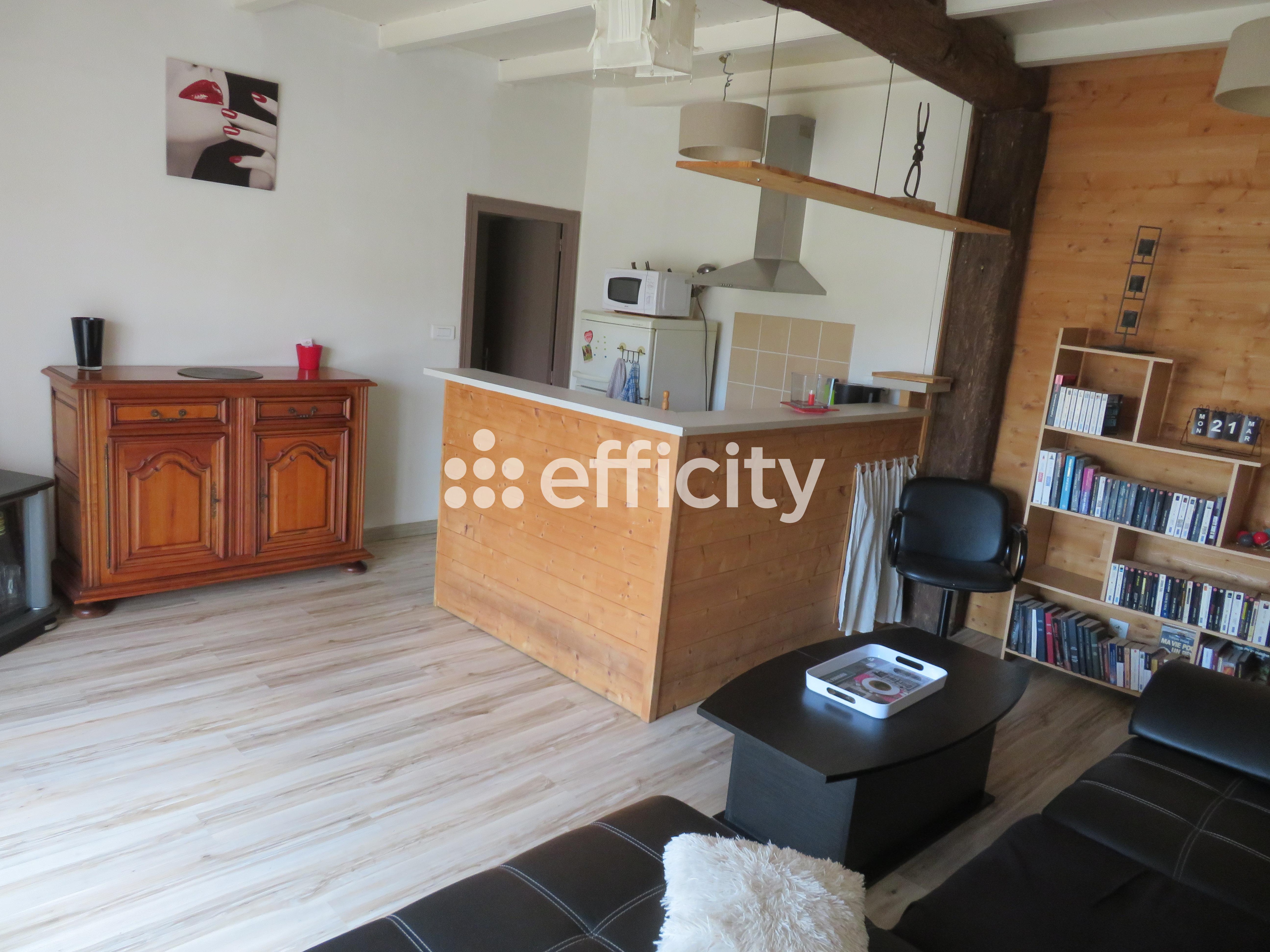 Achat immobilier Maison 14 pièces  295m2 à Essouvert (17400) - Photo n°7