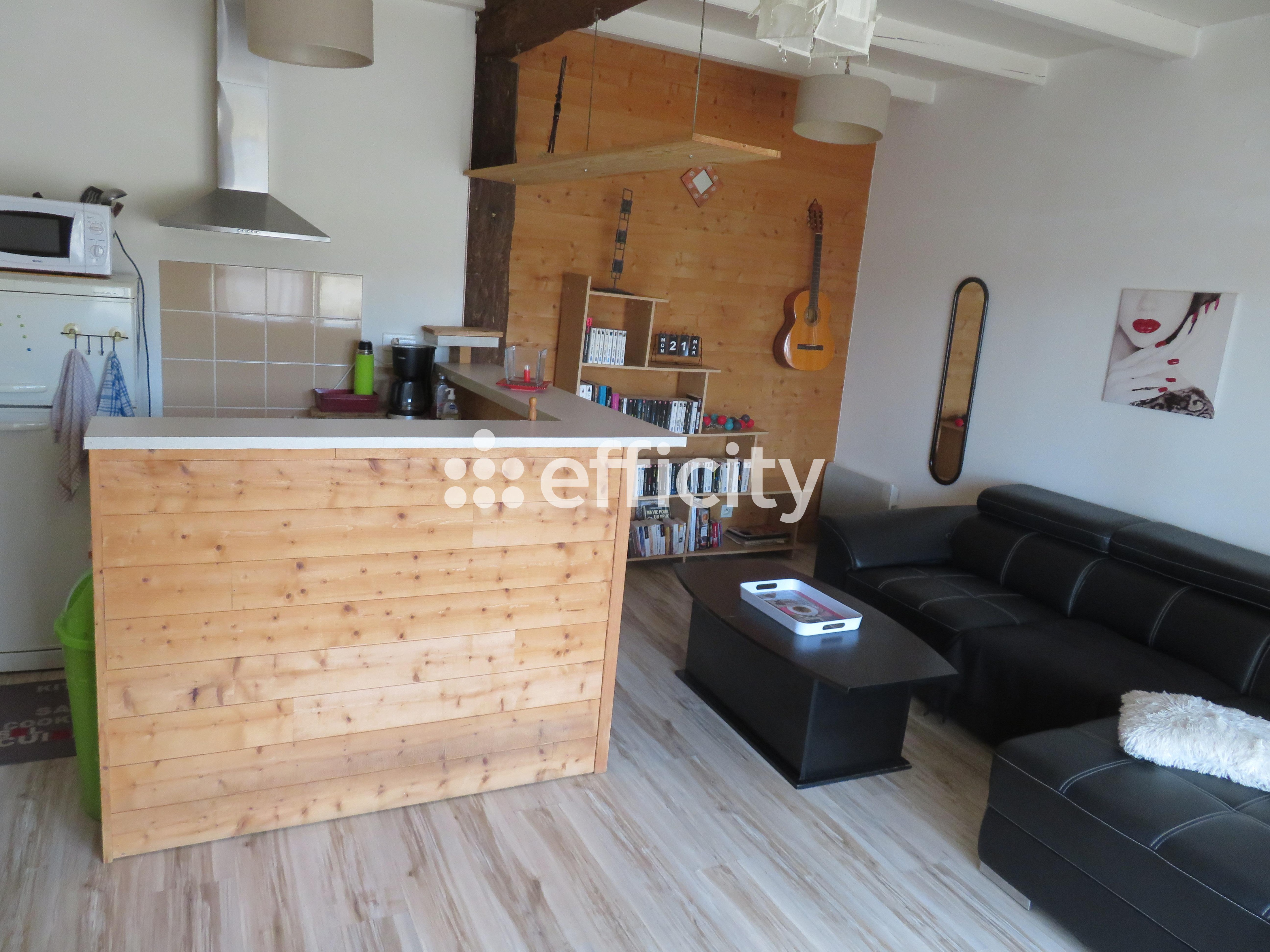 Achat immobilier Maison 14 pièces  295m2 à Essouvert (17400) - Photo n°8