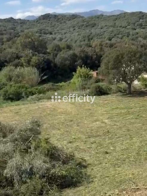 maison 3 pièces - 78m2 à Oletta (20232)