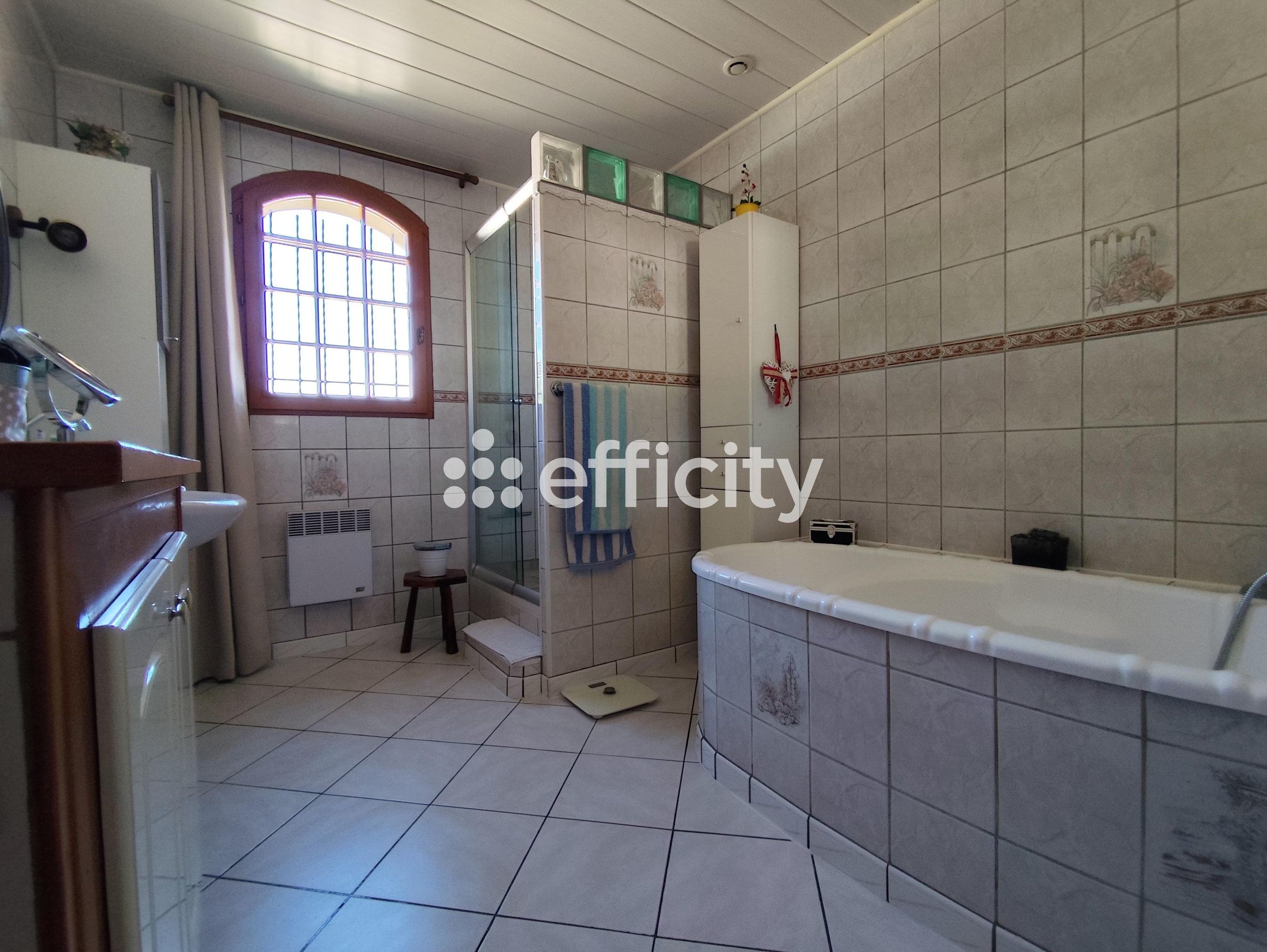 Achat immobilier Maison 5 pièces  129m2 à Saint-Rambert-d'Albon (26140) - Photo n°11