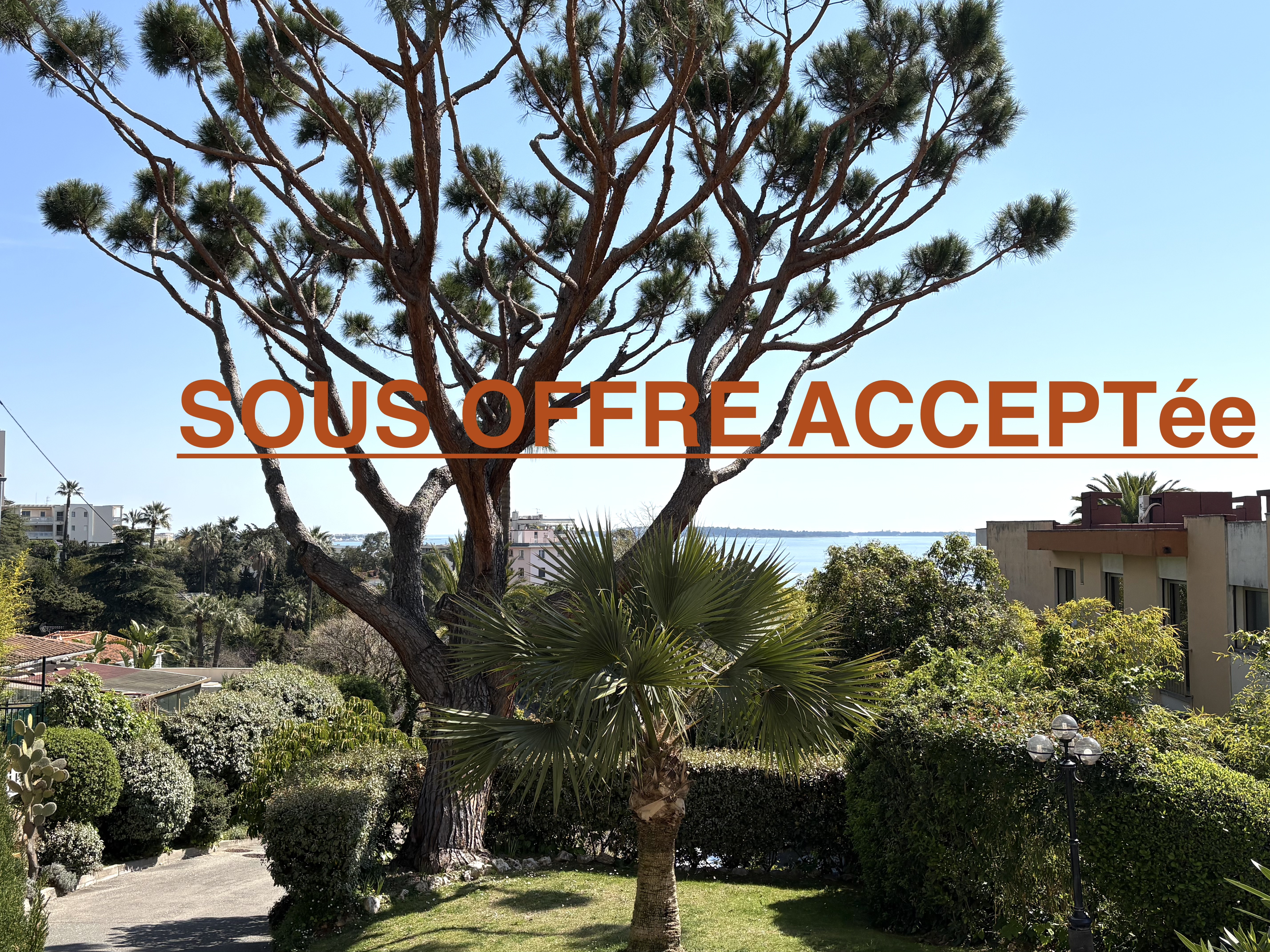 appartement 1 pièces - 17m2 à Cannes (06150)