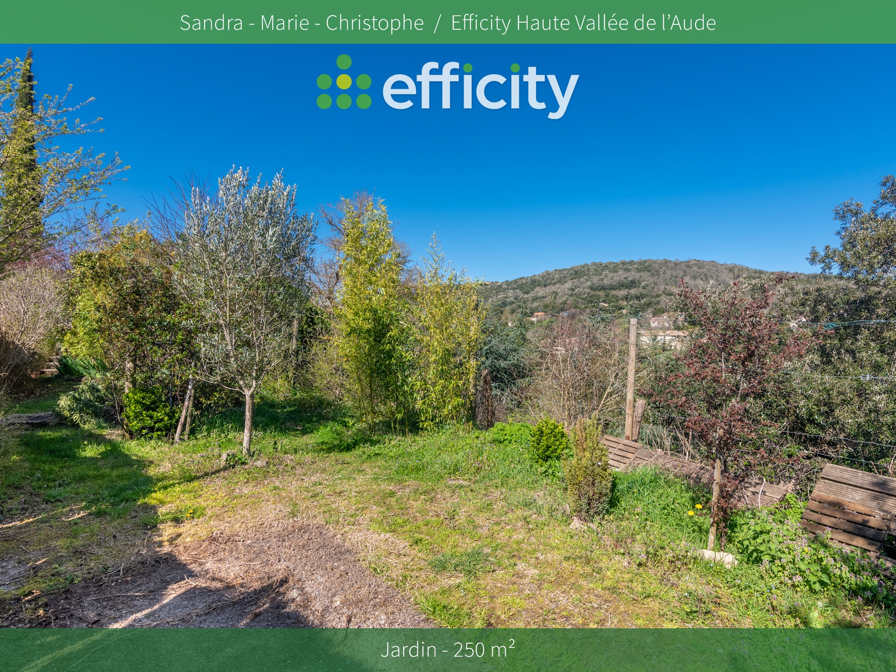 Achat immobilier Maison 3 pièces  77m2 à Albières (11330) - Photo n°17