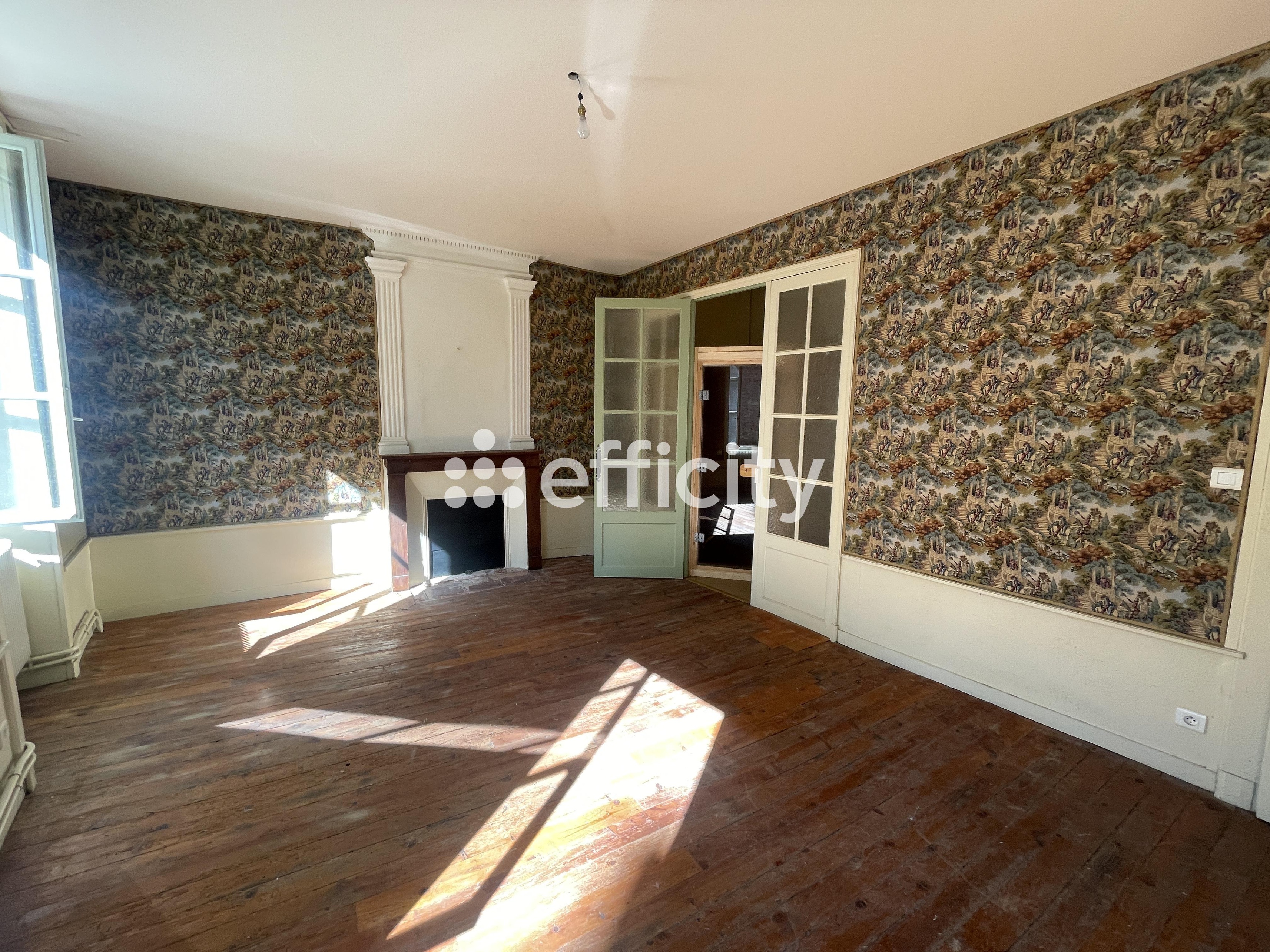 Achat immobilier Maison 6 pièces  243m2 à Busset (03270) - Photo n°10