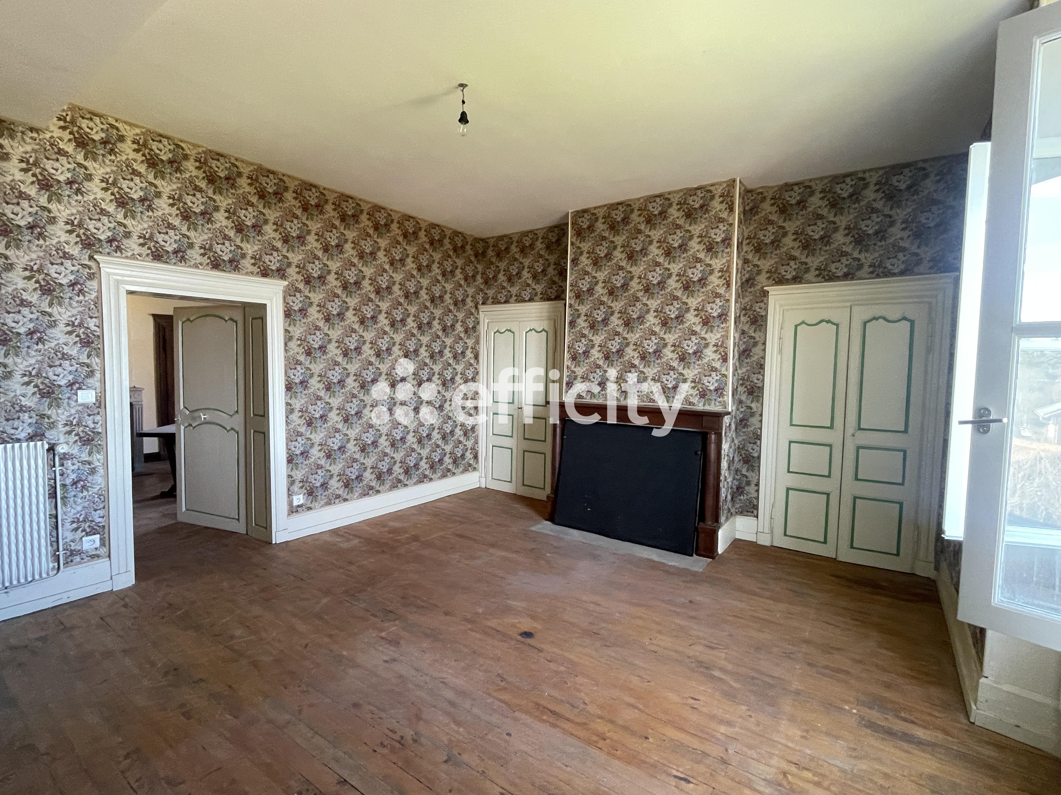 Achat immobilier Maison 6 pièces  243m2 à Busset (03270) - Photo n°12