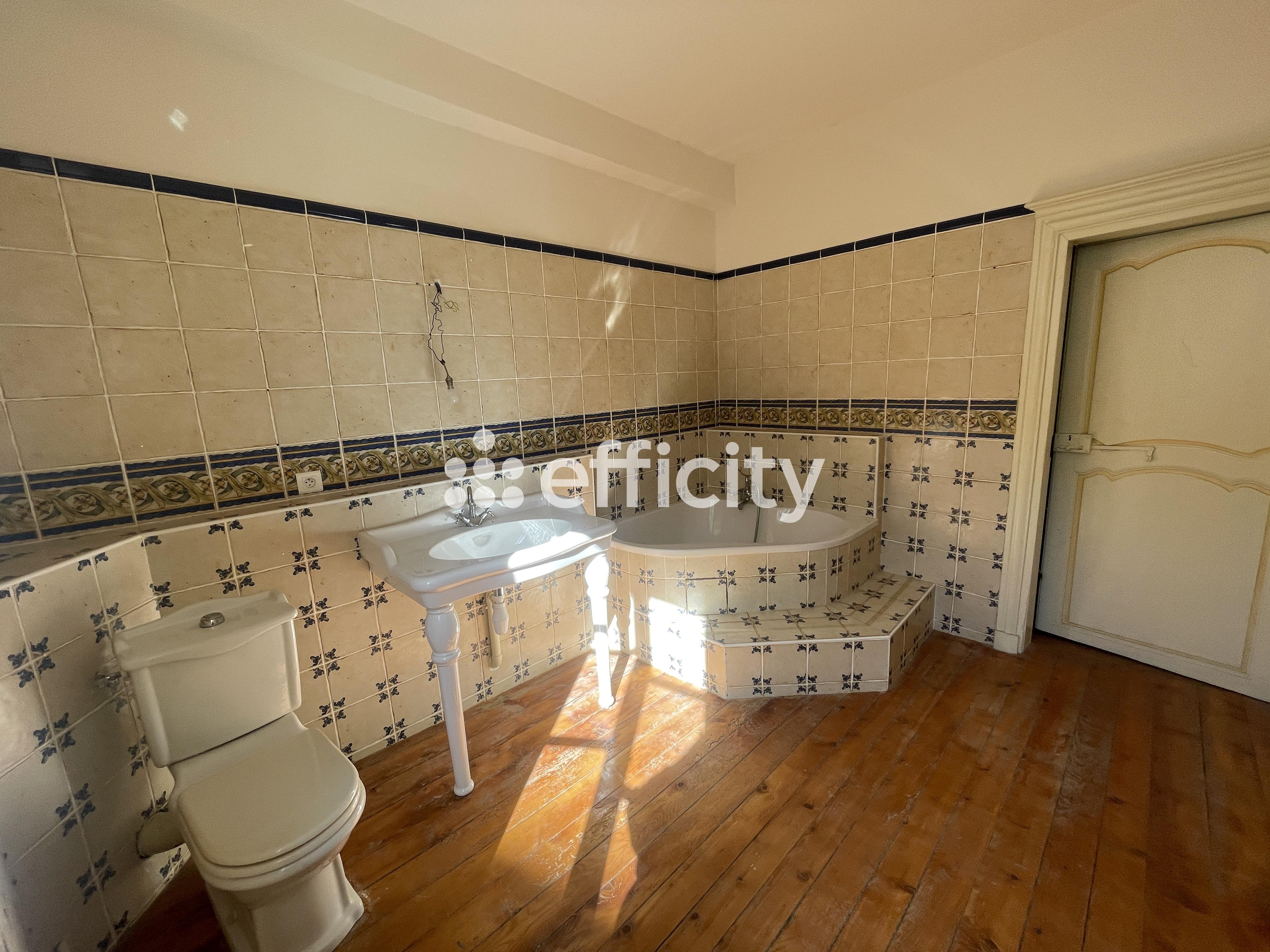 Achat immobilier Maison 6 pièces  243m2 à Busset (03270) - Photo n°13