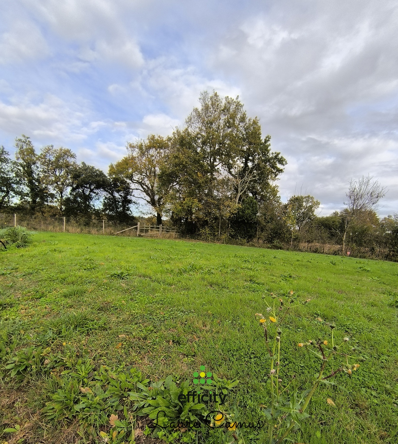 terrain  - 443,0m2 à Talmont-Saint-Hilaire (85440)