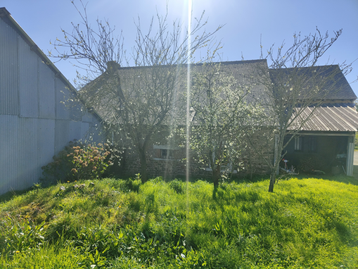 Achat immobilier Maison 4 pièces  75m2 à La Baussaine (35190) - Photo n°14