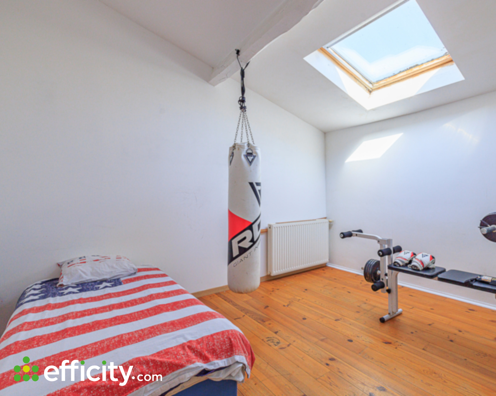 Achat immobilier Maison 8 pièces  190m2 à Camps-sur-l'Isle (33660) - Photo n°12