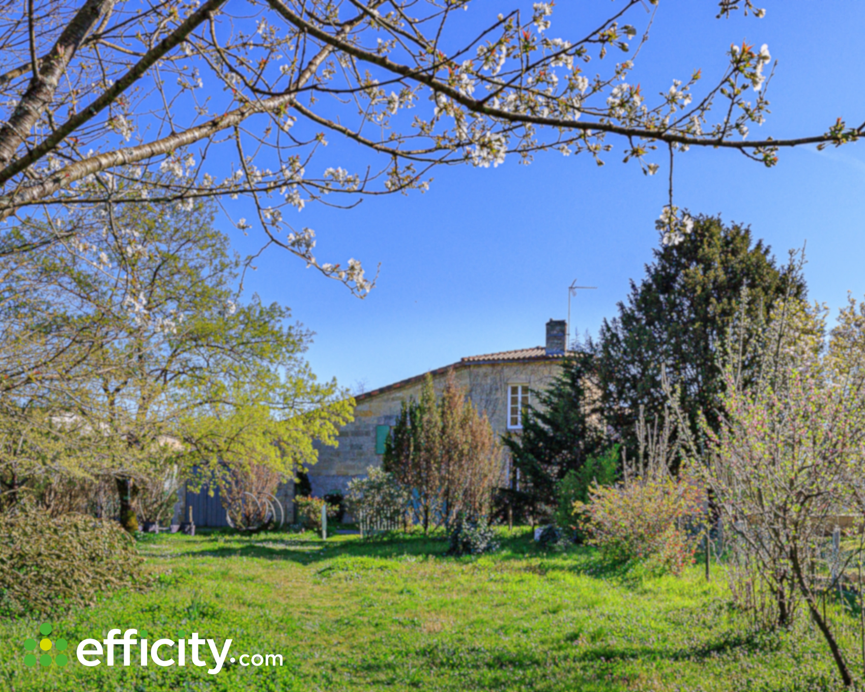 Achat immobilier Maison 8 pièces  190m2 à Camps-sur-l'Isle (33660) - Photo n°15