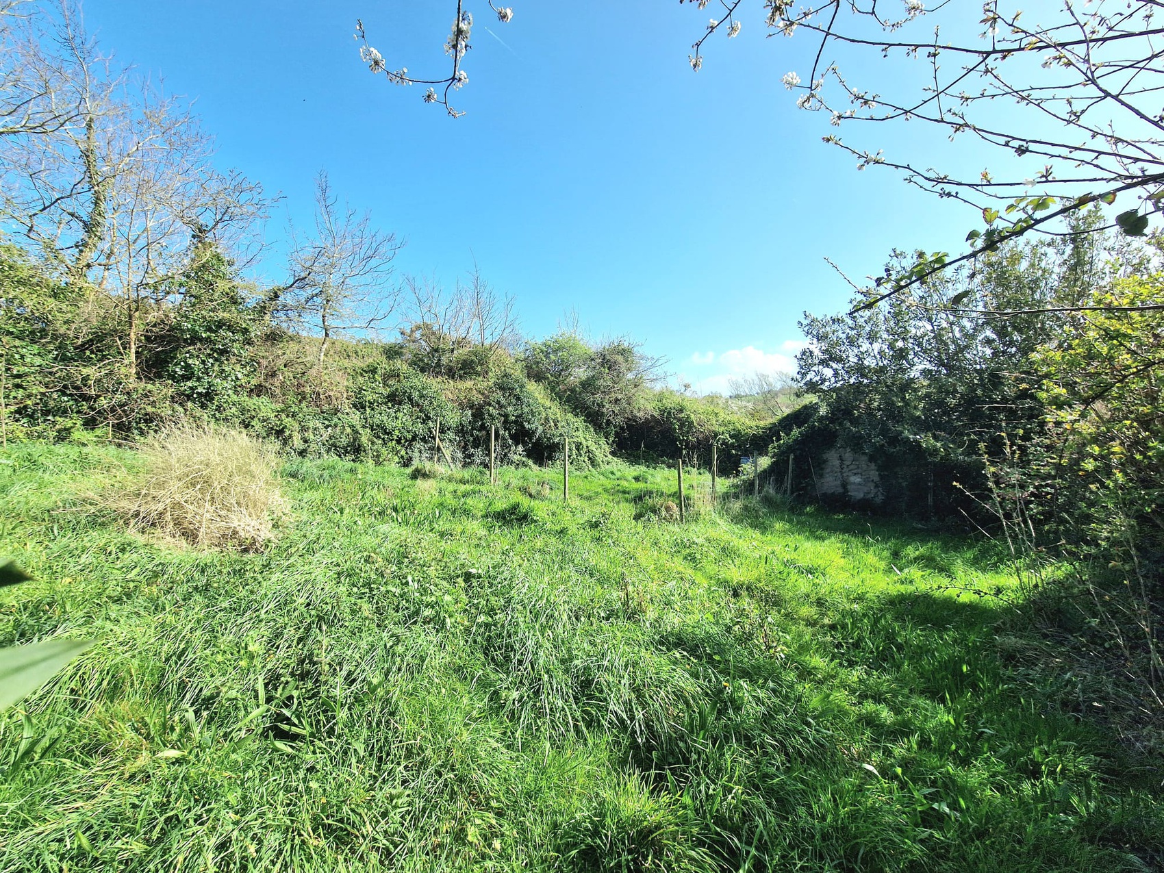 Achat immobilier Maison 1 pièces  60m2 à La Hague (50440) - Photo n°9