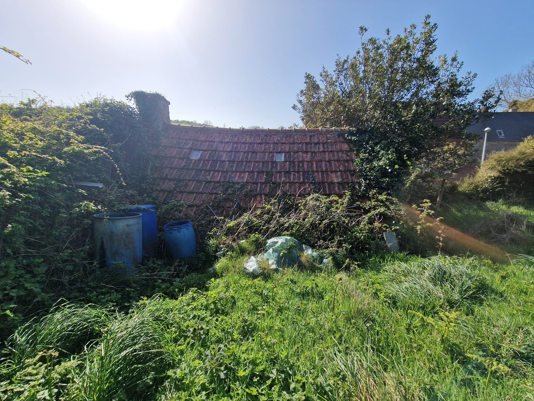 Achat immobilier Maison 1 pièces  60m2 à La Hague (50440) - Photo n°6