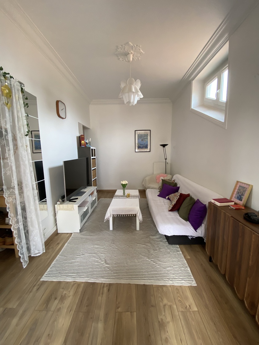 appartement 2 pièces - 47m2 à Saint-Étienne (42100)