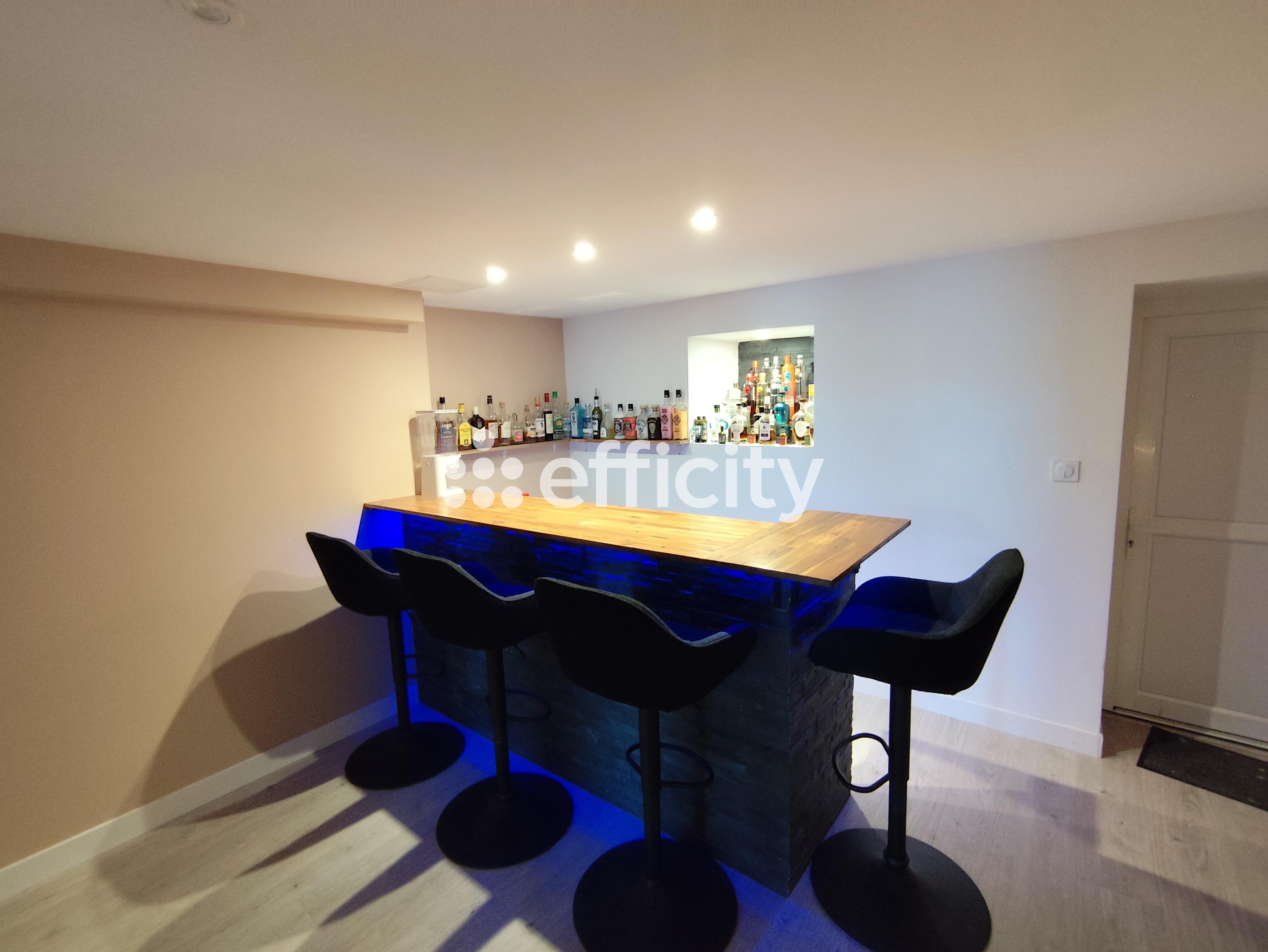 Achat immobilier Maison 7 pièces  140m2 à Sainte-Gemme (17250) - Photo n°7