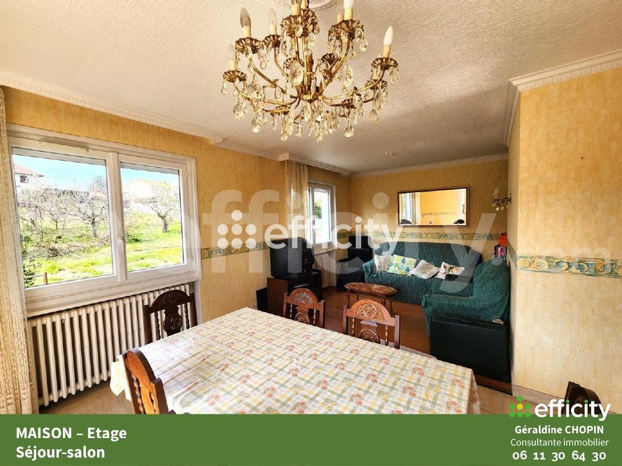 Achat immobilier Maison 5 pièces  129m2 à Saint-Martin-la-Plaine (42800) - Photo n°9