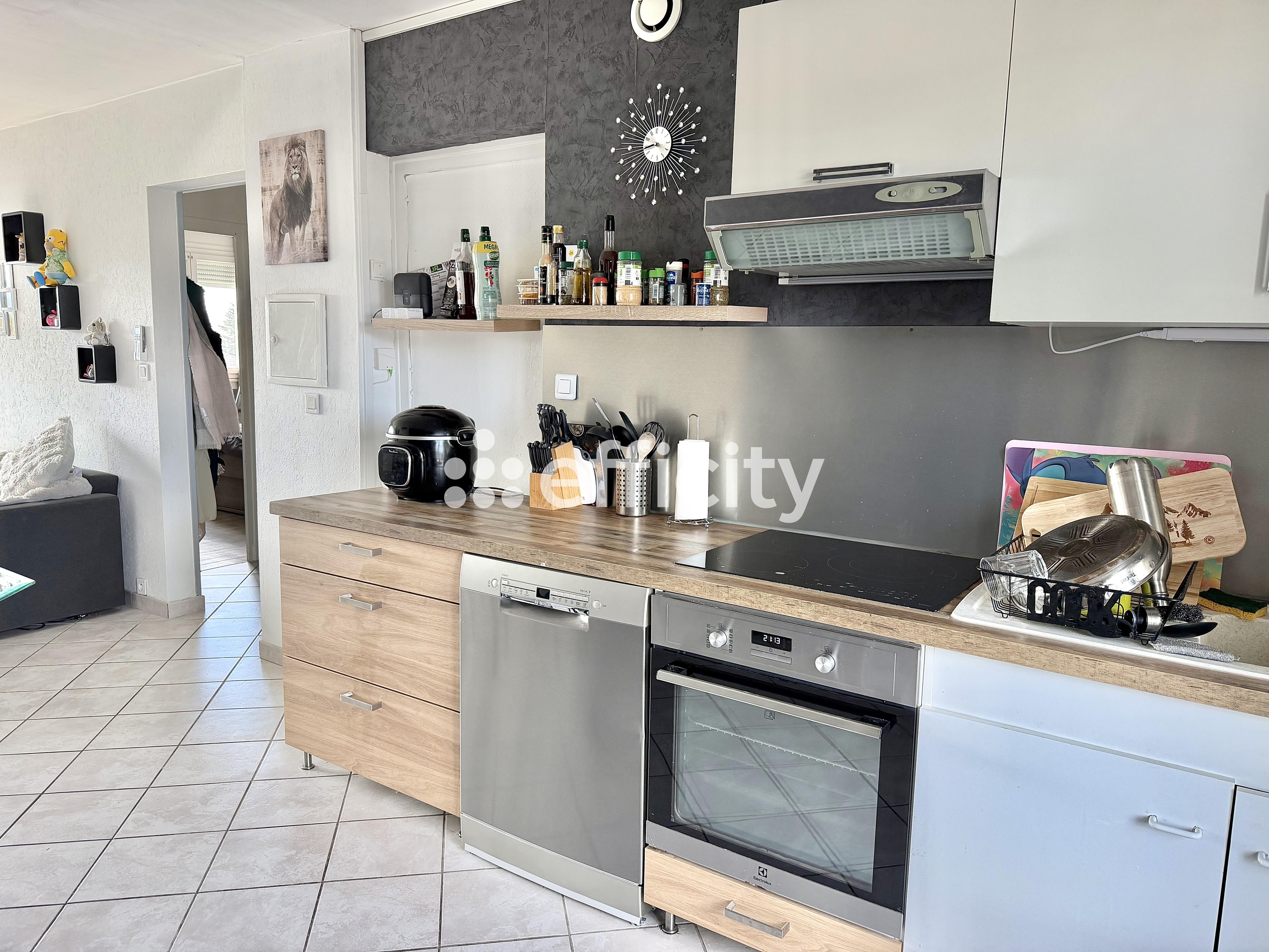 Achat immobilier Appartement 3 pièces  58m2 à Saint-Cyprien (42160) - Photo n°5
