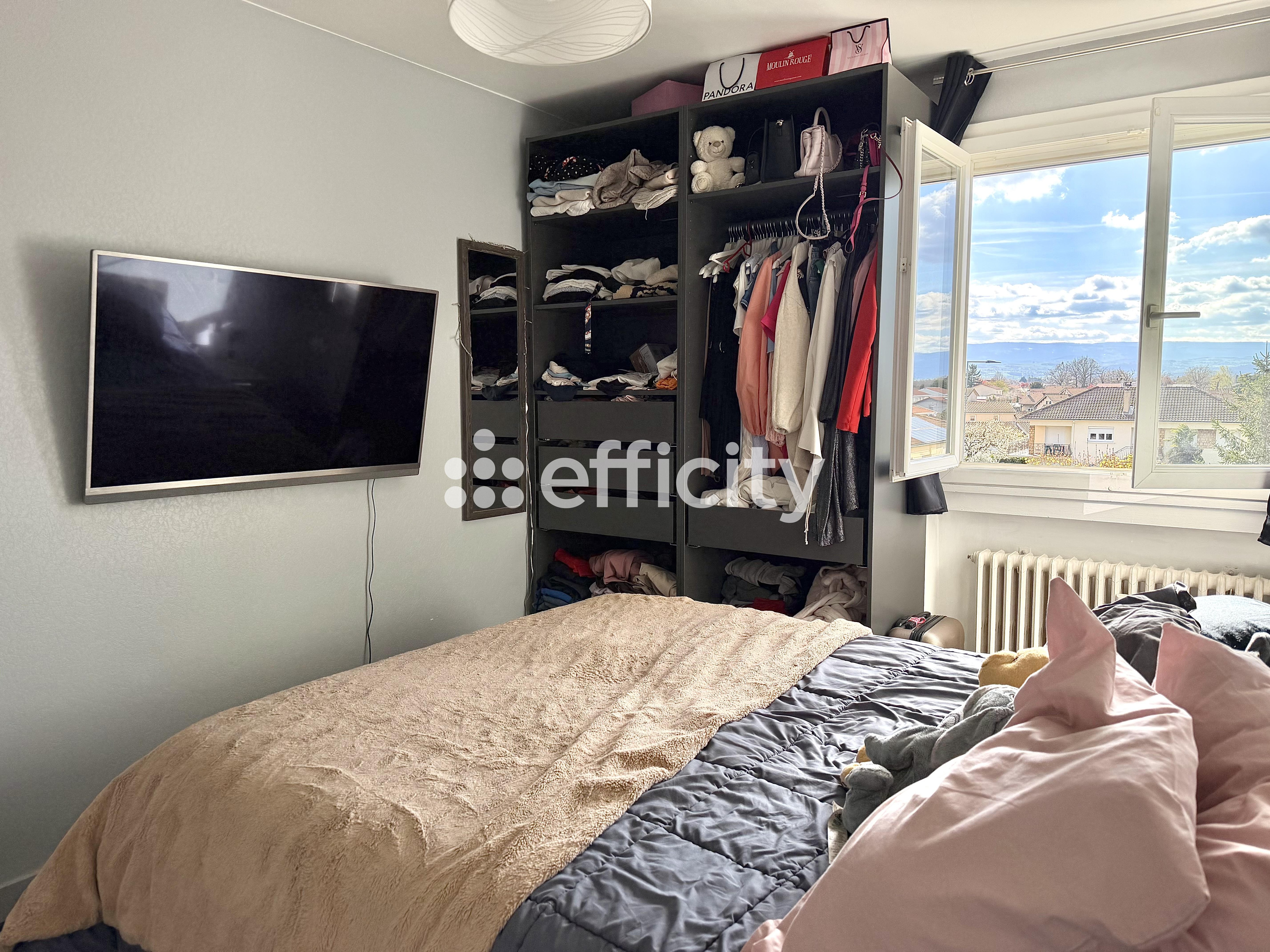Achat immobilier Appartement 3 pièces  58m2 à Saint-Cyprien (42160) - Photo n°7