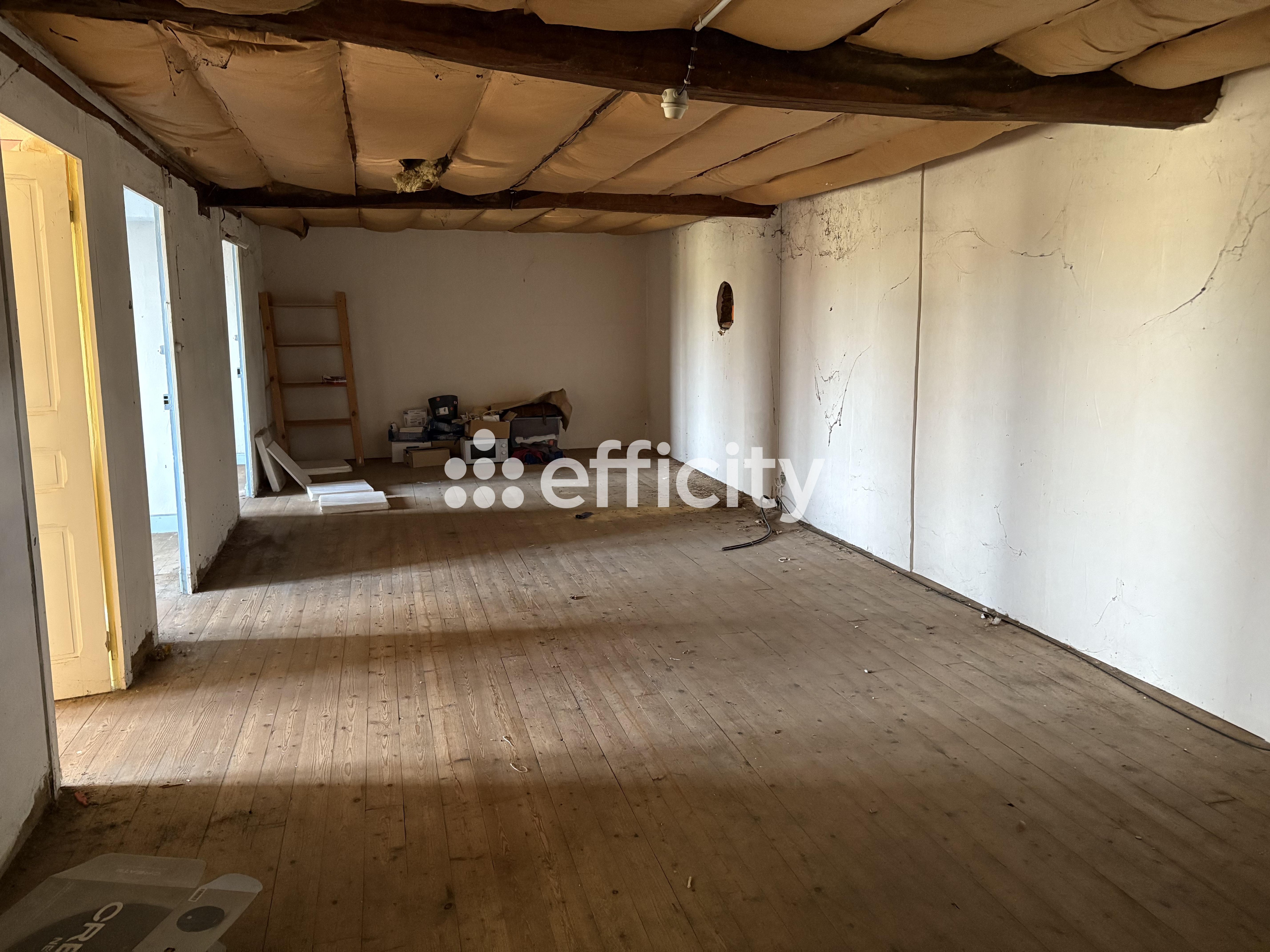 Achat immobilier Local commercial 7 pièces  45m2 à Chaneins (01990) - Photo n°4