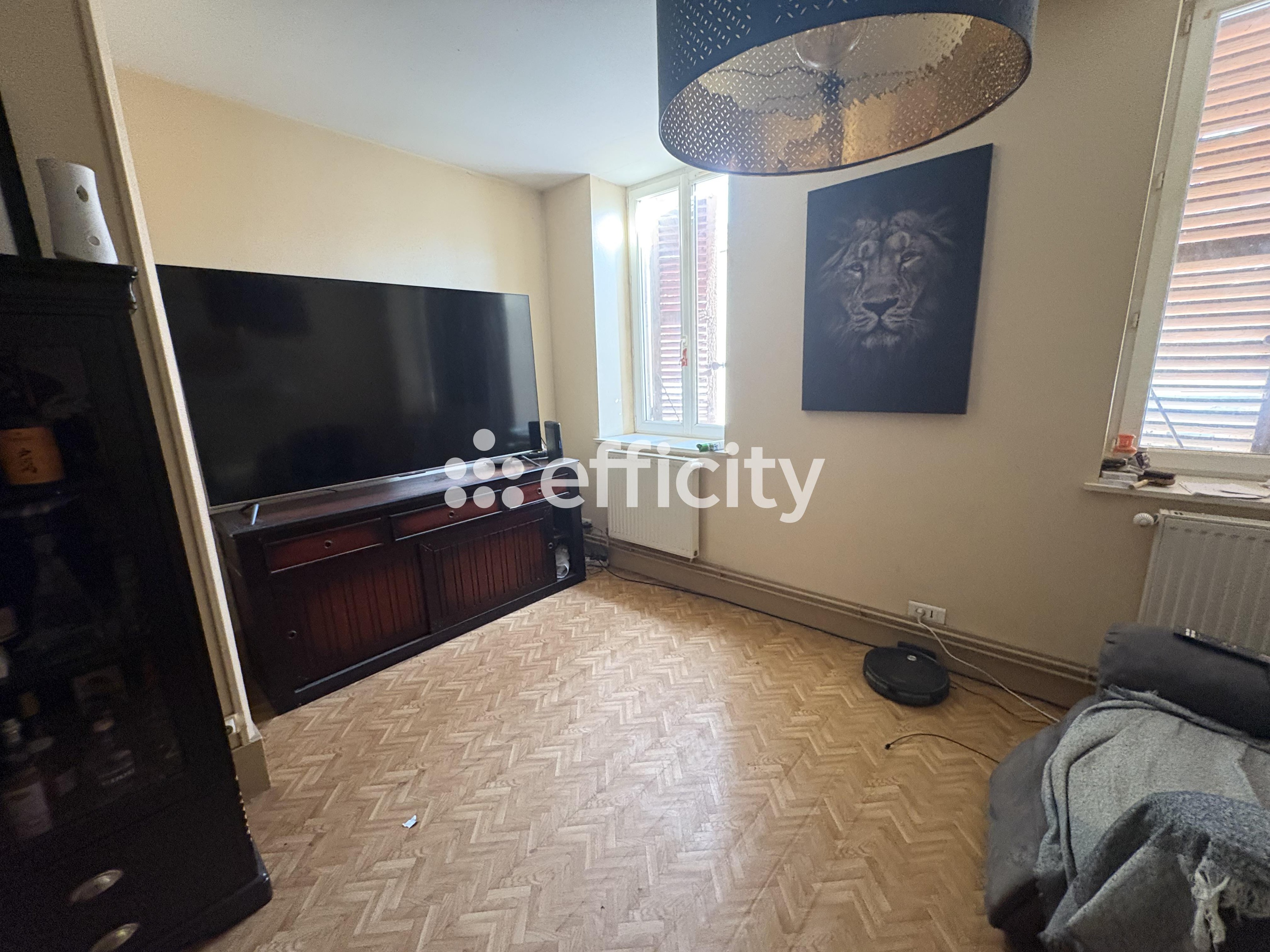 Achat immobilier Local commercial 7 pièces  45m2 à Chaneins (01990) - Photo n°5