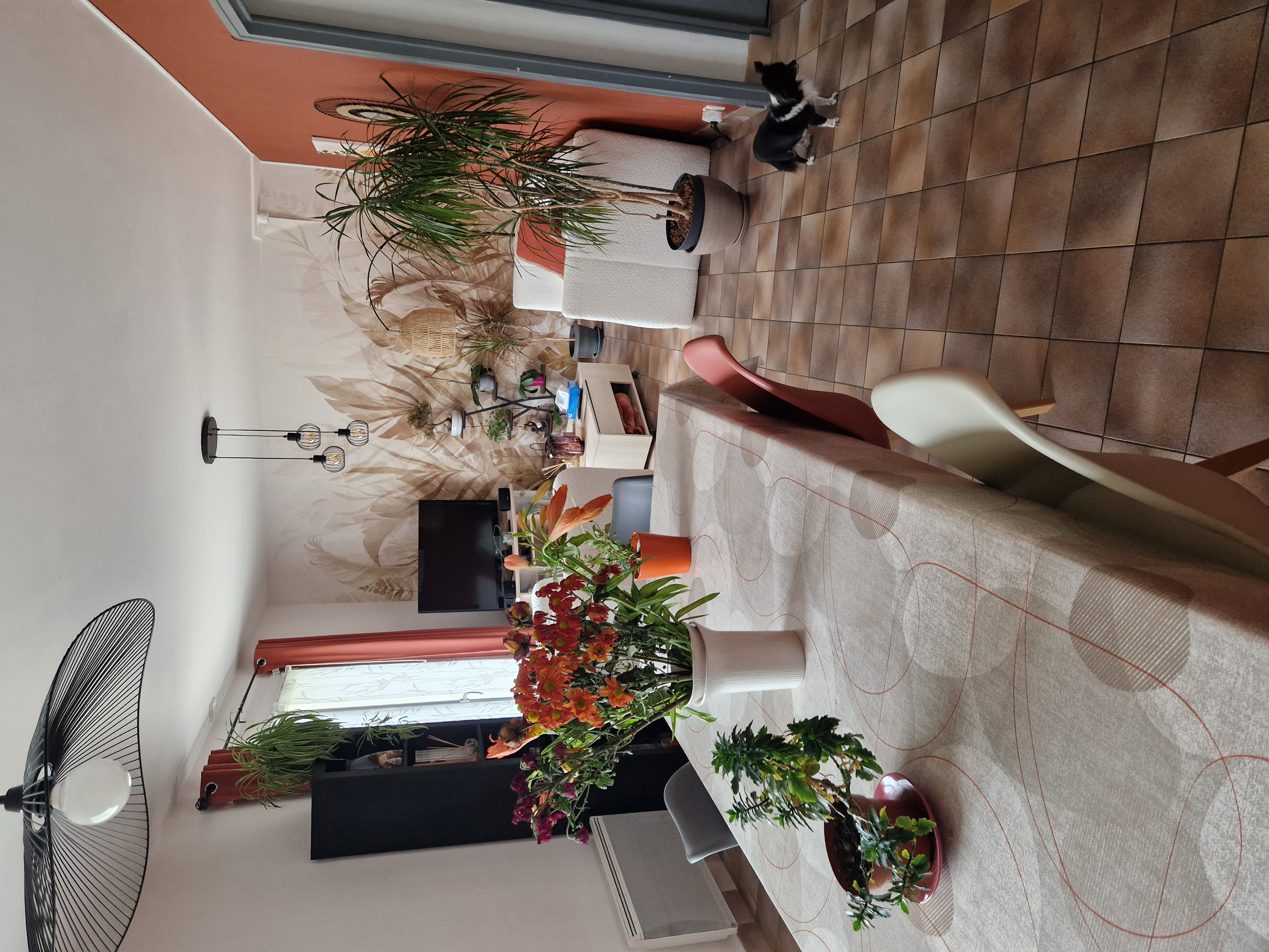 Achat immobilier Maison 6 pièces  137m2 à Mercin-et-Vaux (02200) - Photo n°5