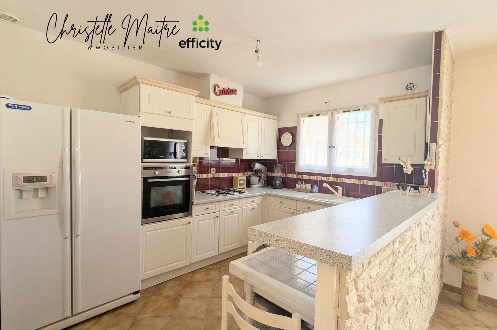 Achat immobilier Maison 5 pièces  85m2 à Arles (13200) - Photo n°8