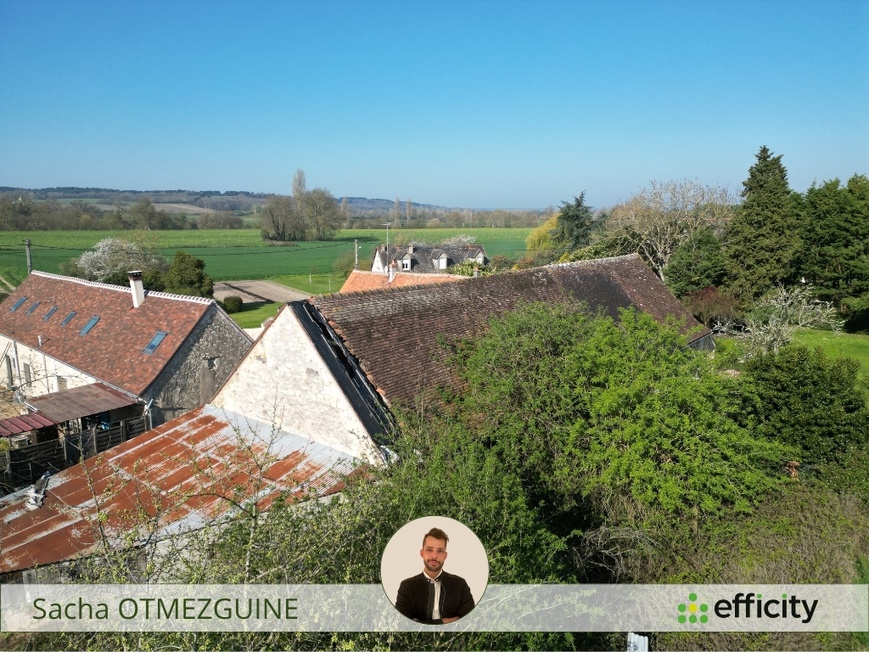 Achat immobilier Maison 3 pièces  120m2 à Yzeures-sur-Creuse (37290) - Photo n°4