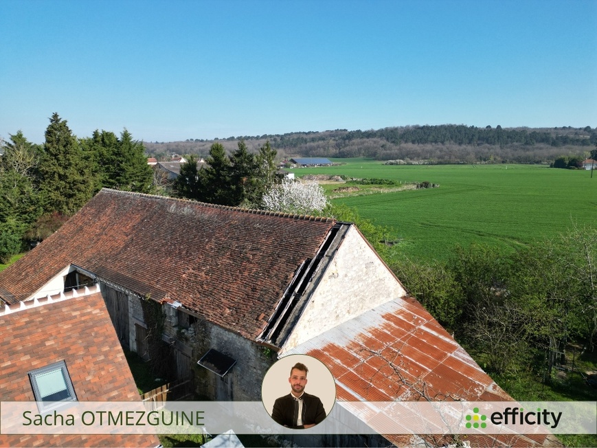 Achat immobilier Maison 3 pièces  120m2 à Yzeures-sur-Creuse (37290) - Photo n°6