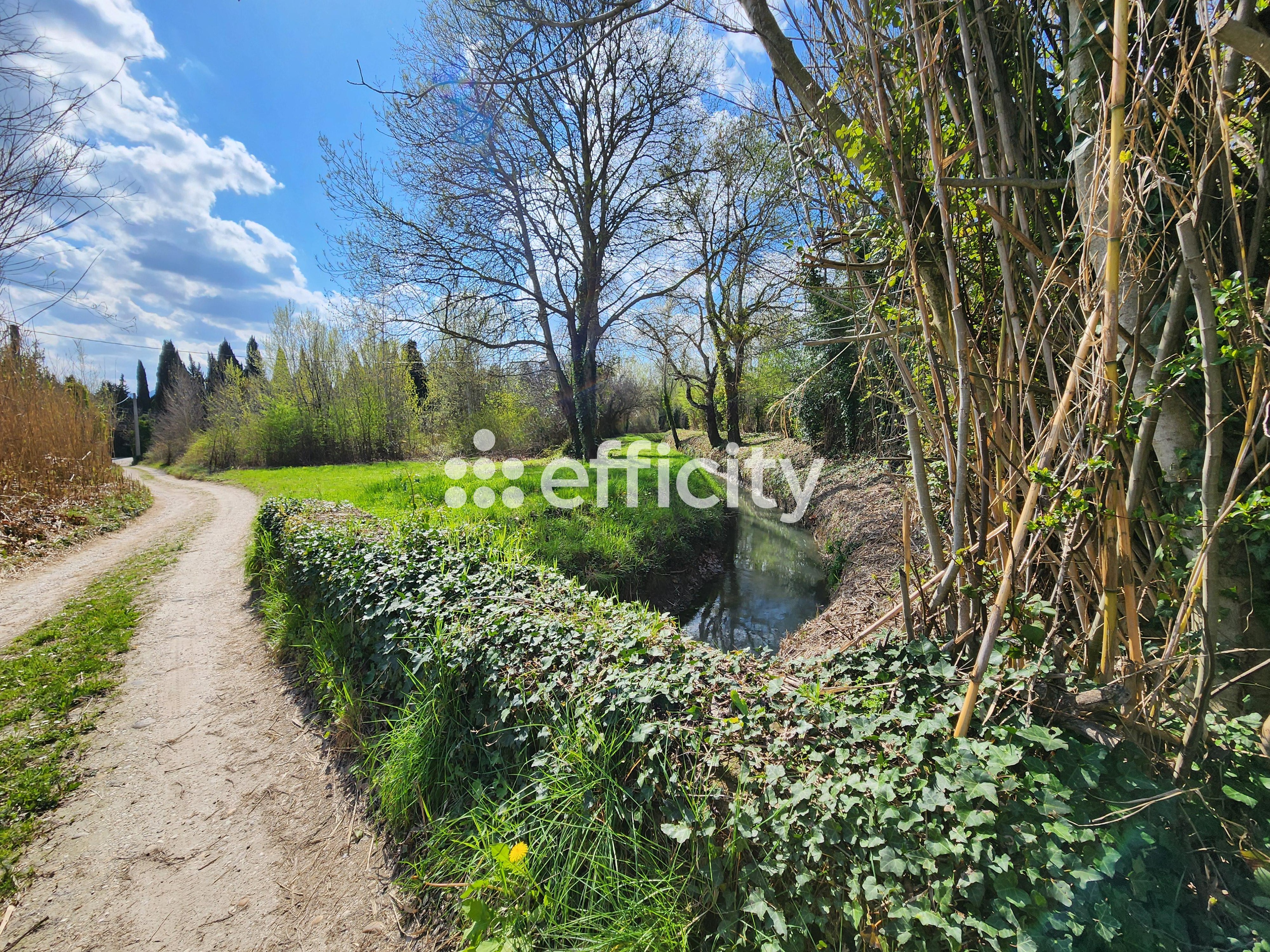 Achat immobilier Maison 6 pièces  120m2 à Saint-Rémy-de-Provence (13210) - Photo n°5